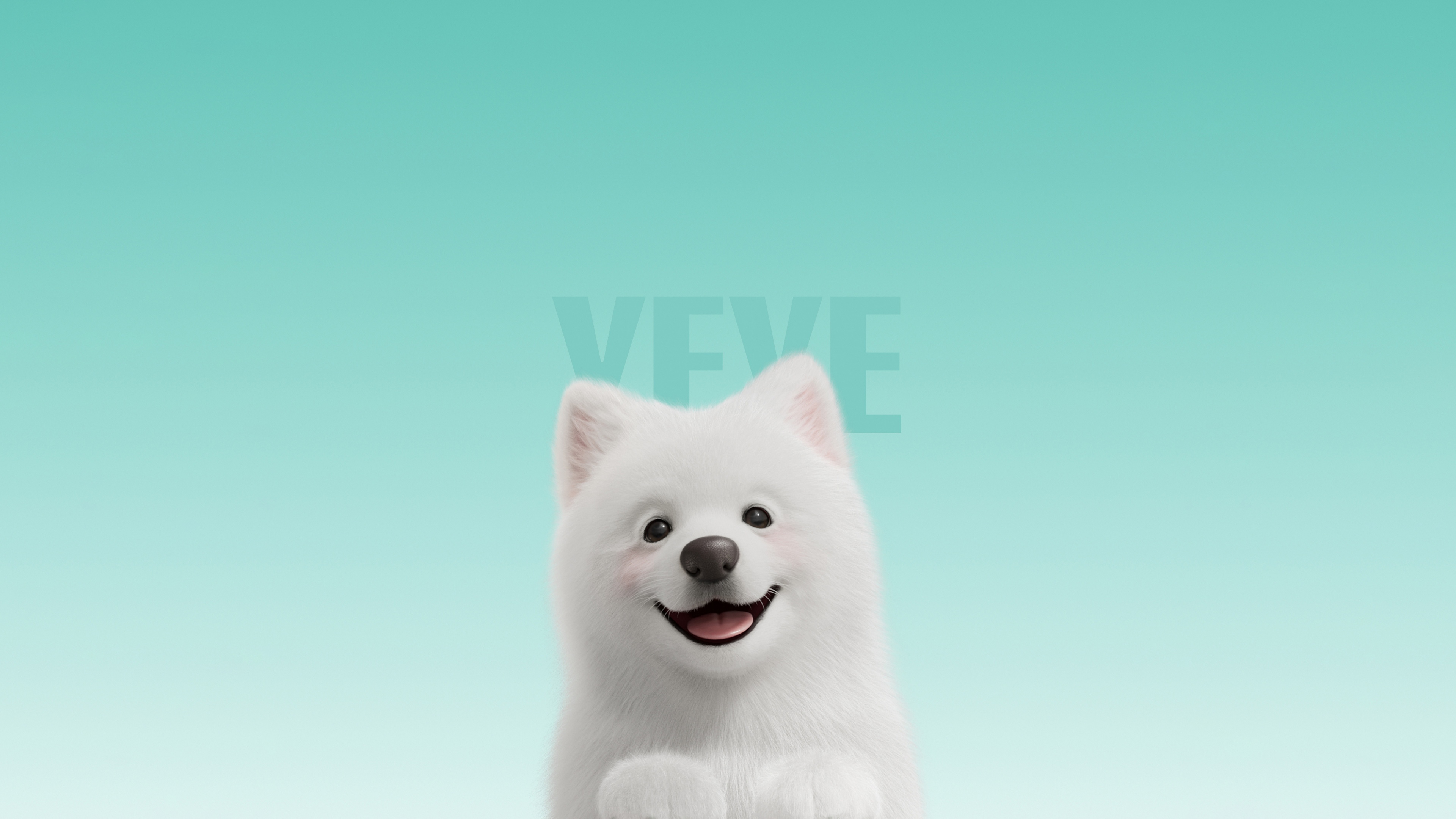 Samoyed Wallpaper