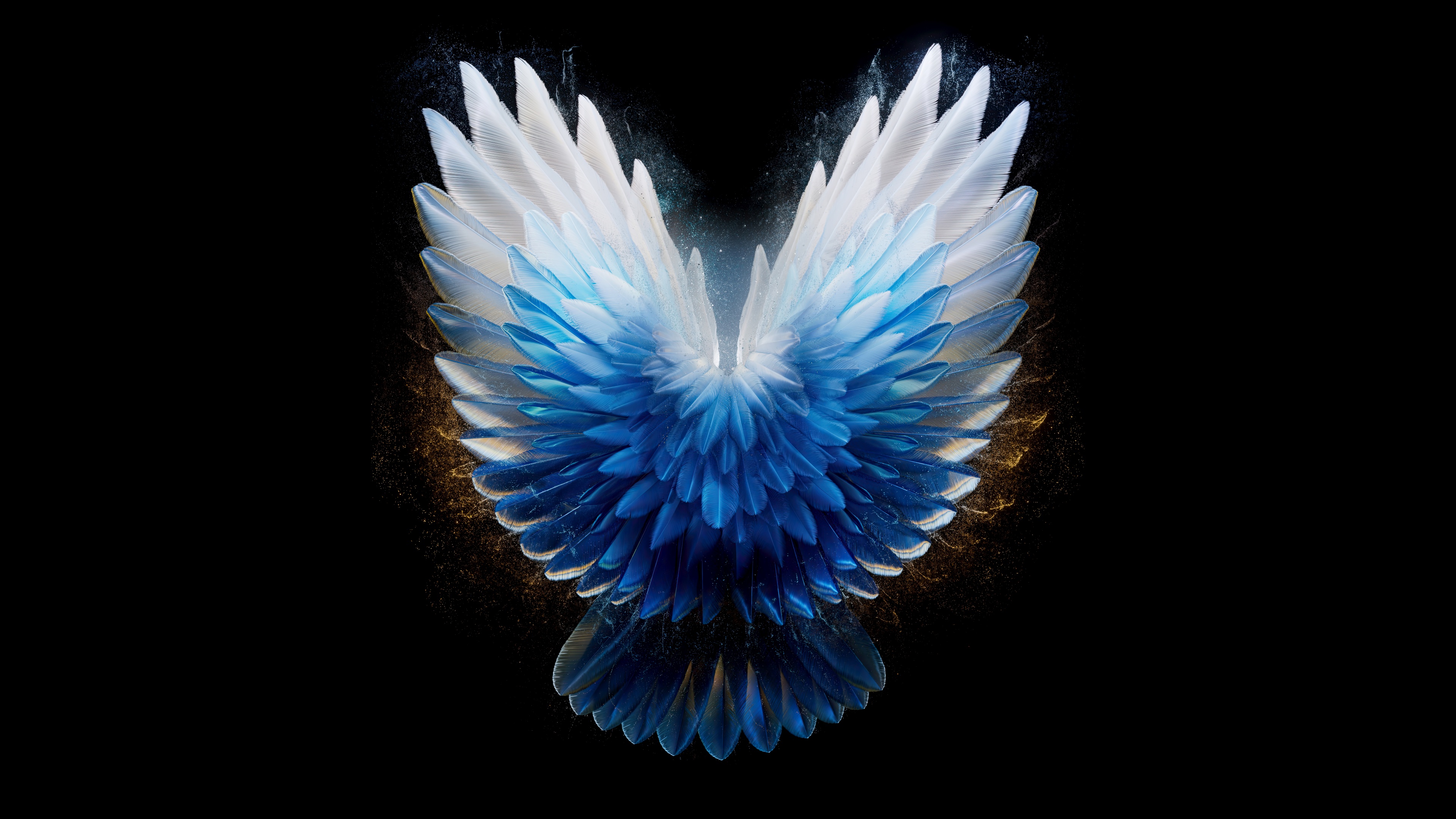 Angel wings Wallpaper