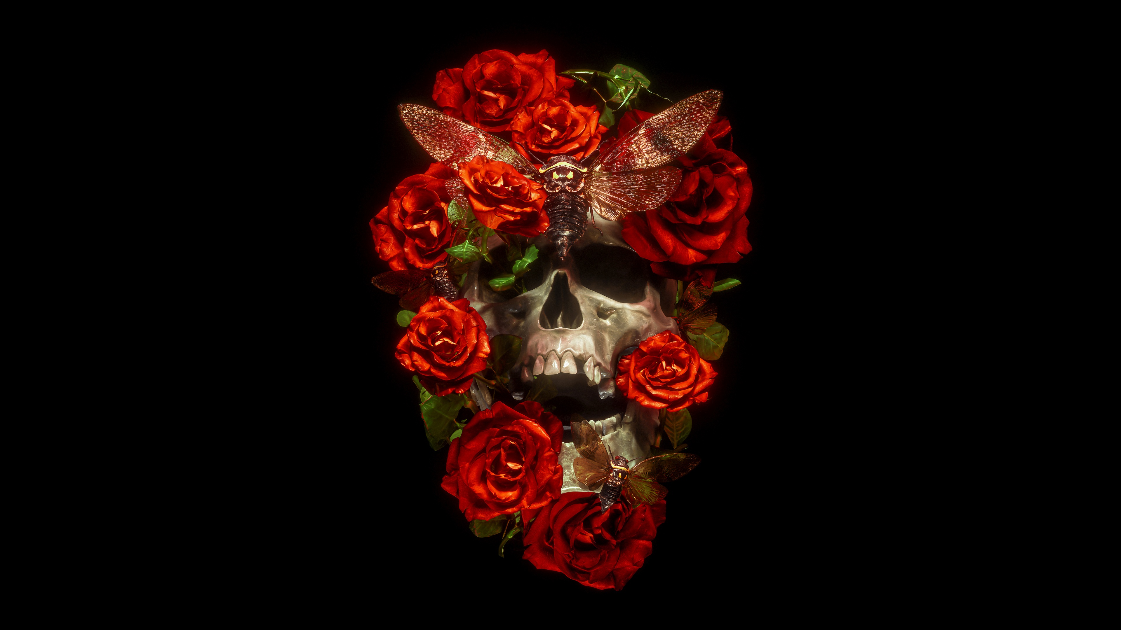 Skull Wallpaper