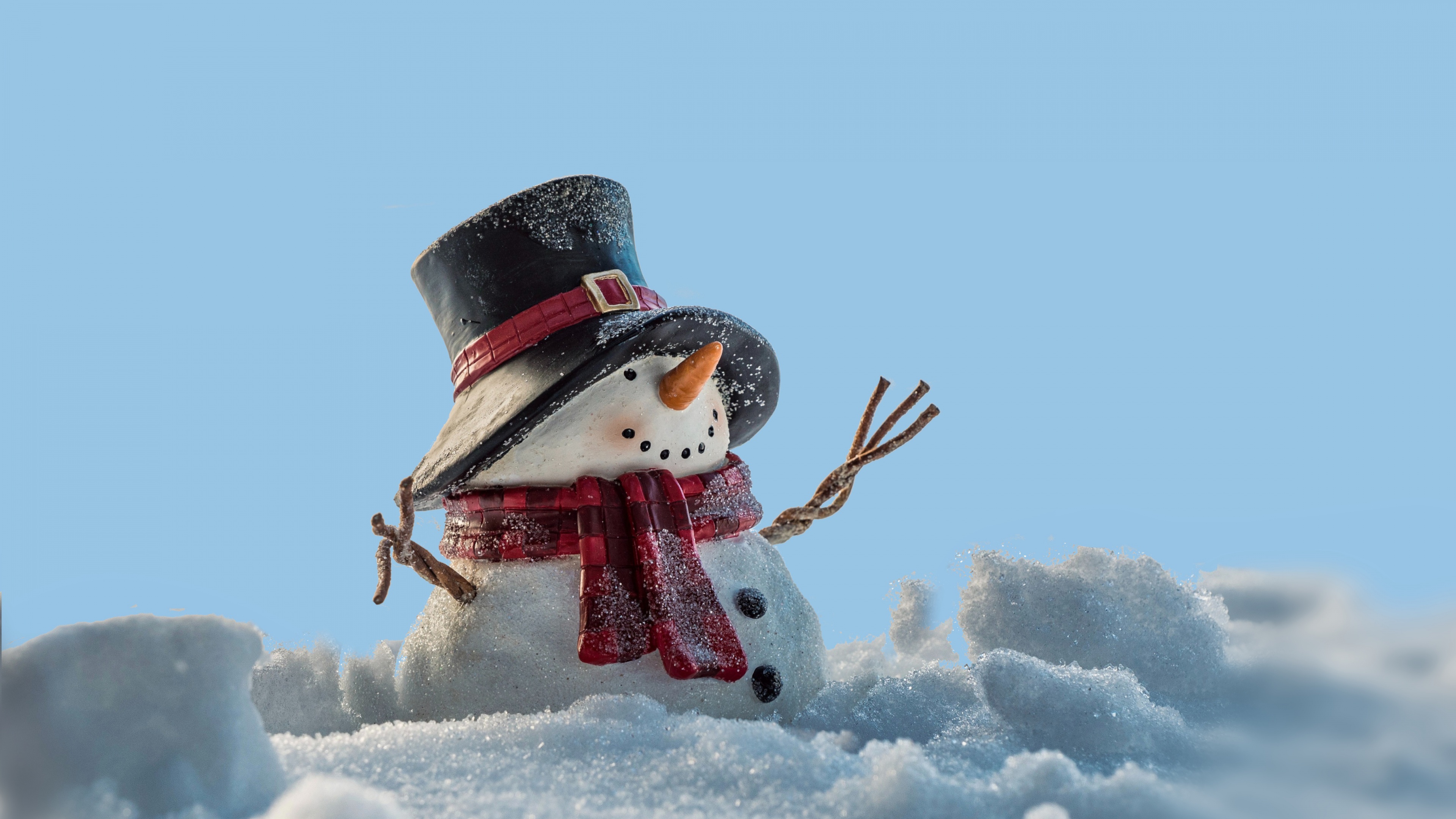 Snow covered Wallpaper