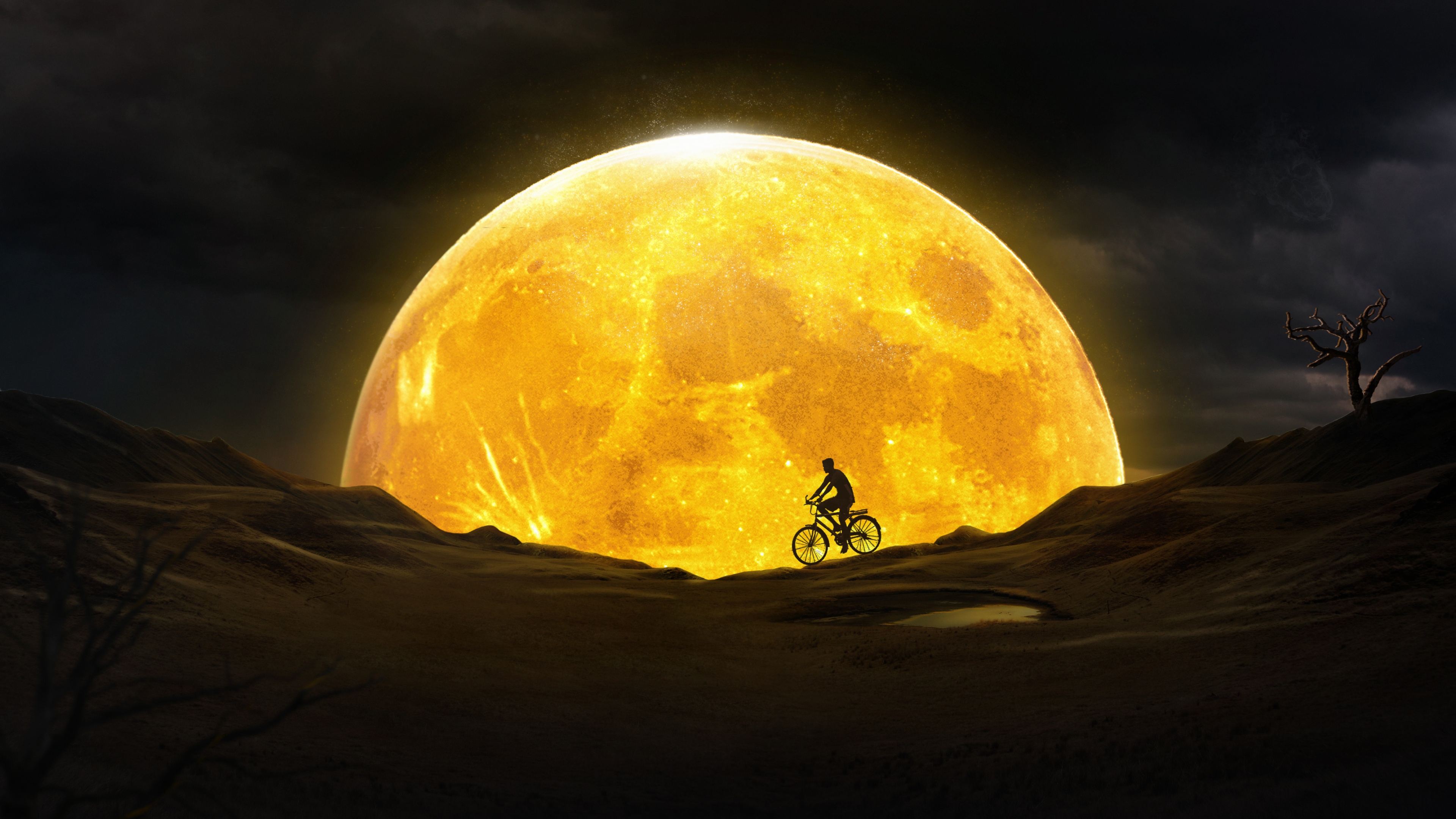 Bicycle Wallpaper