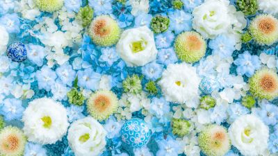 Blue flowers Wallpaper