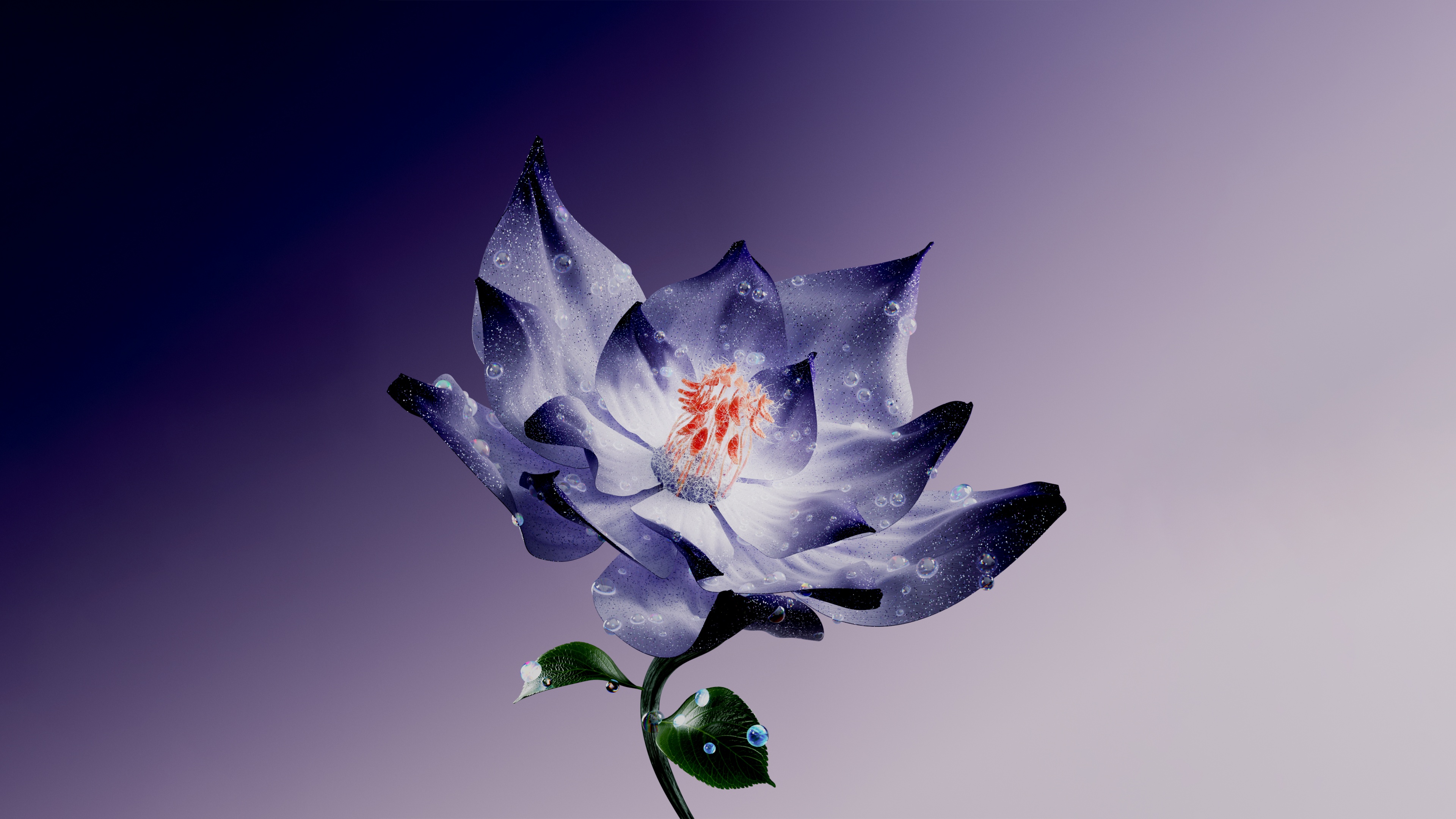 Lotus flower Wallpaper