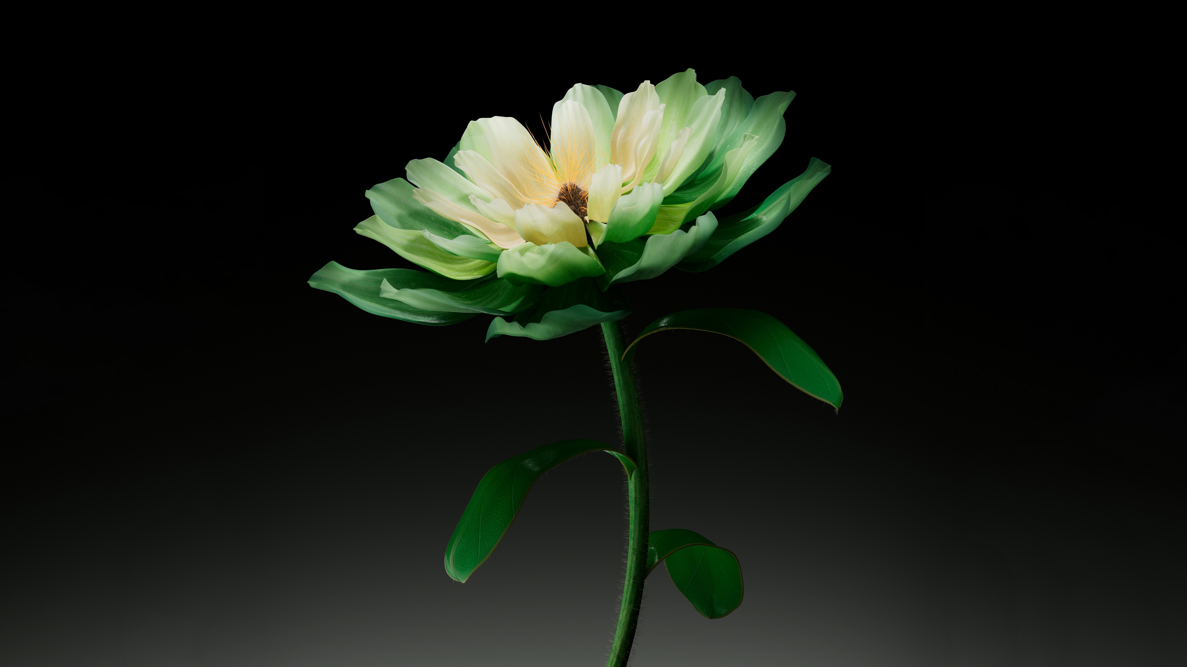 Green flower Wallpaper