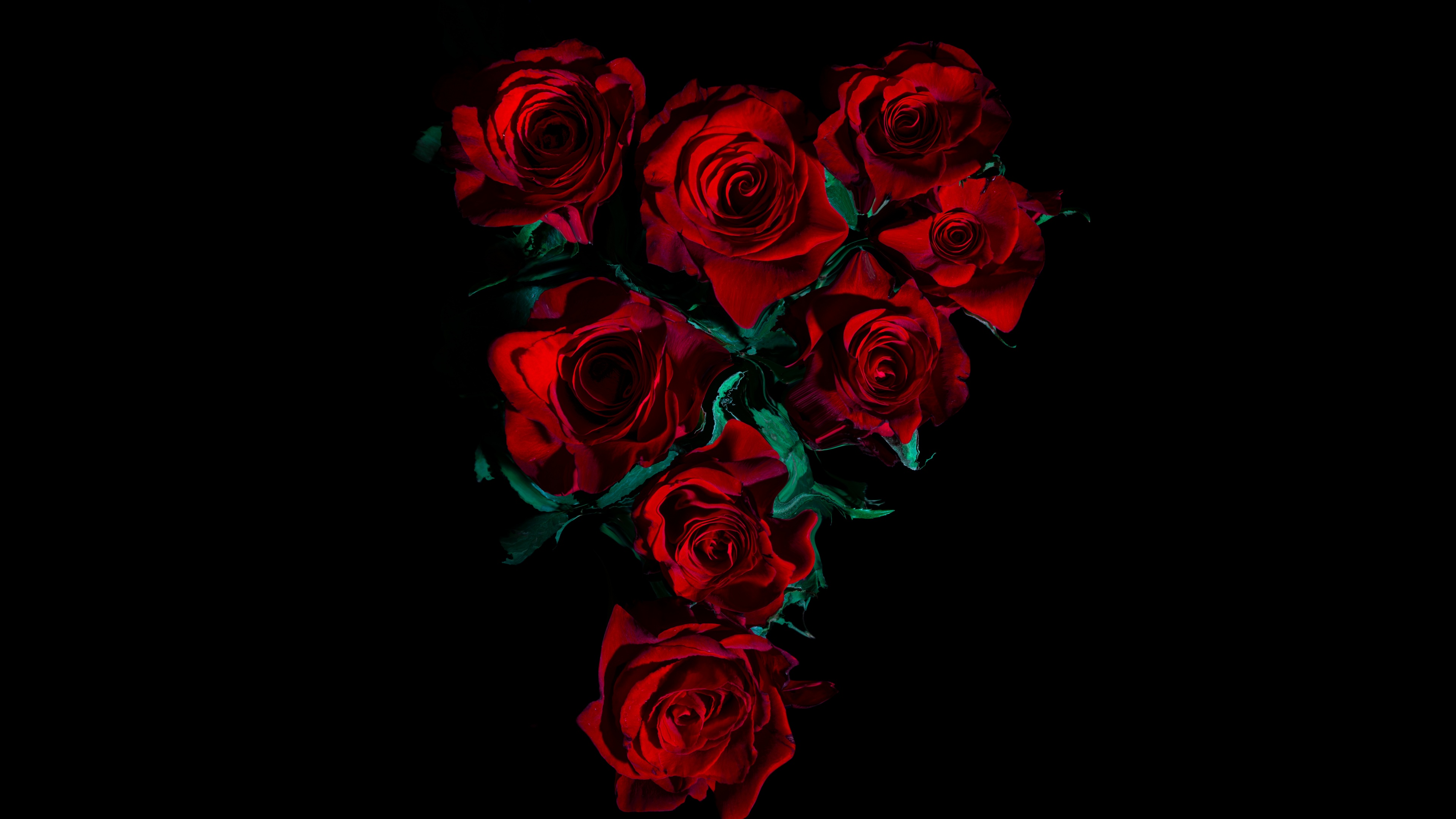 Red Roses Wallpaper