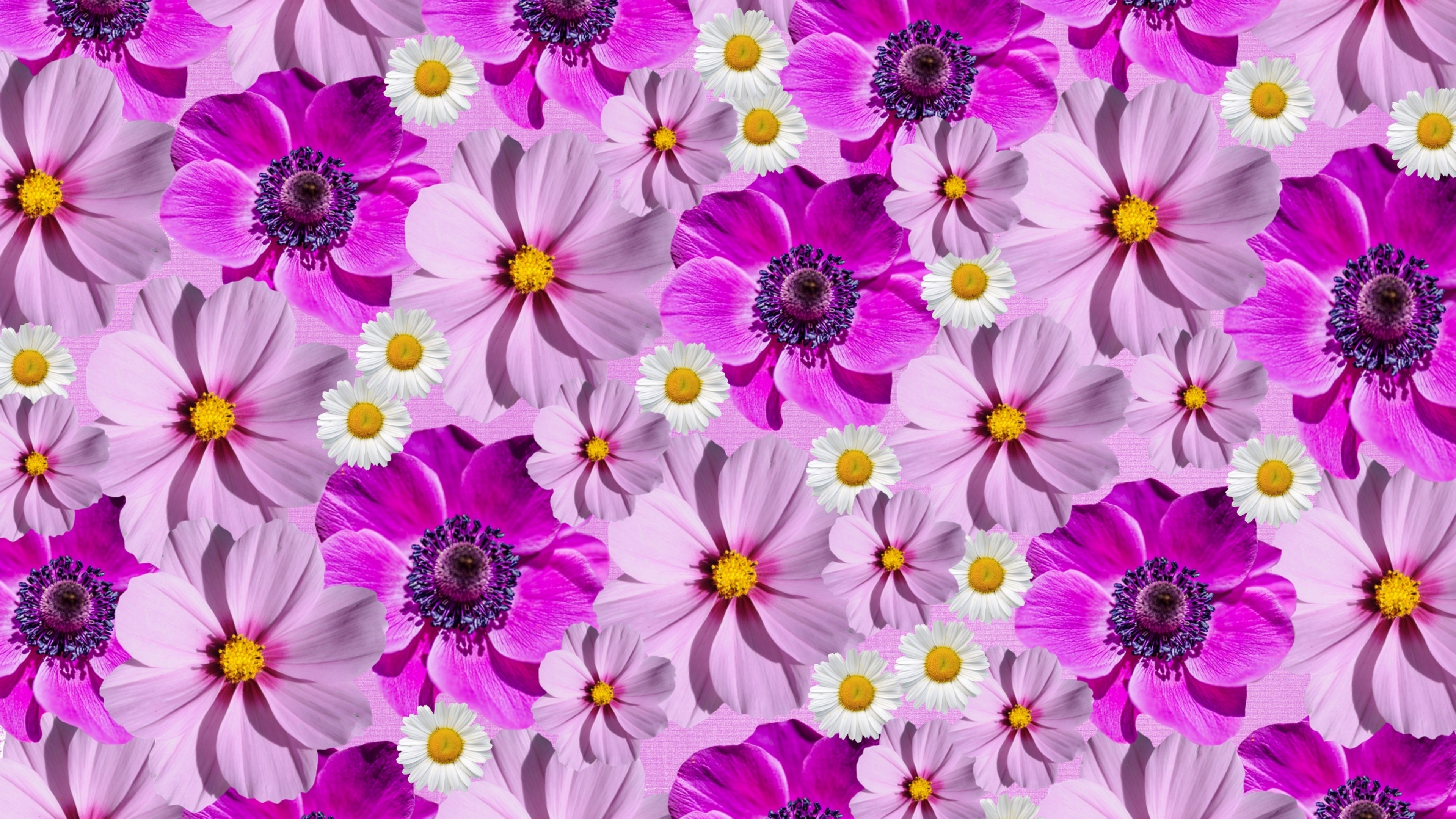 Floral Background Wallpaper