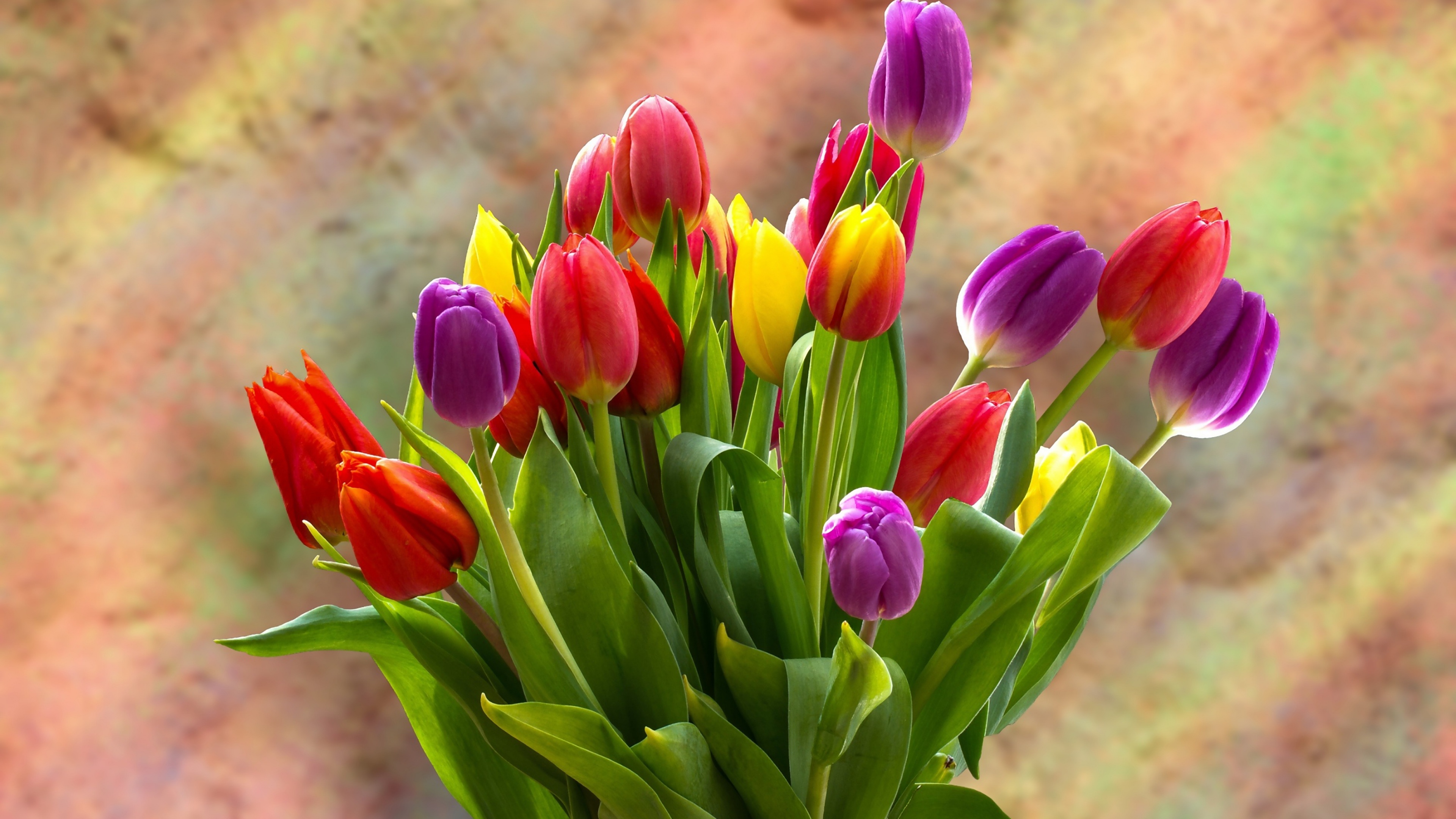Tulip Bouquet Wallpaper