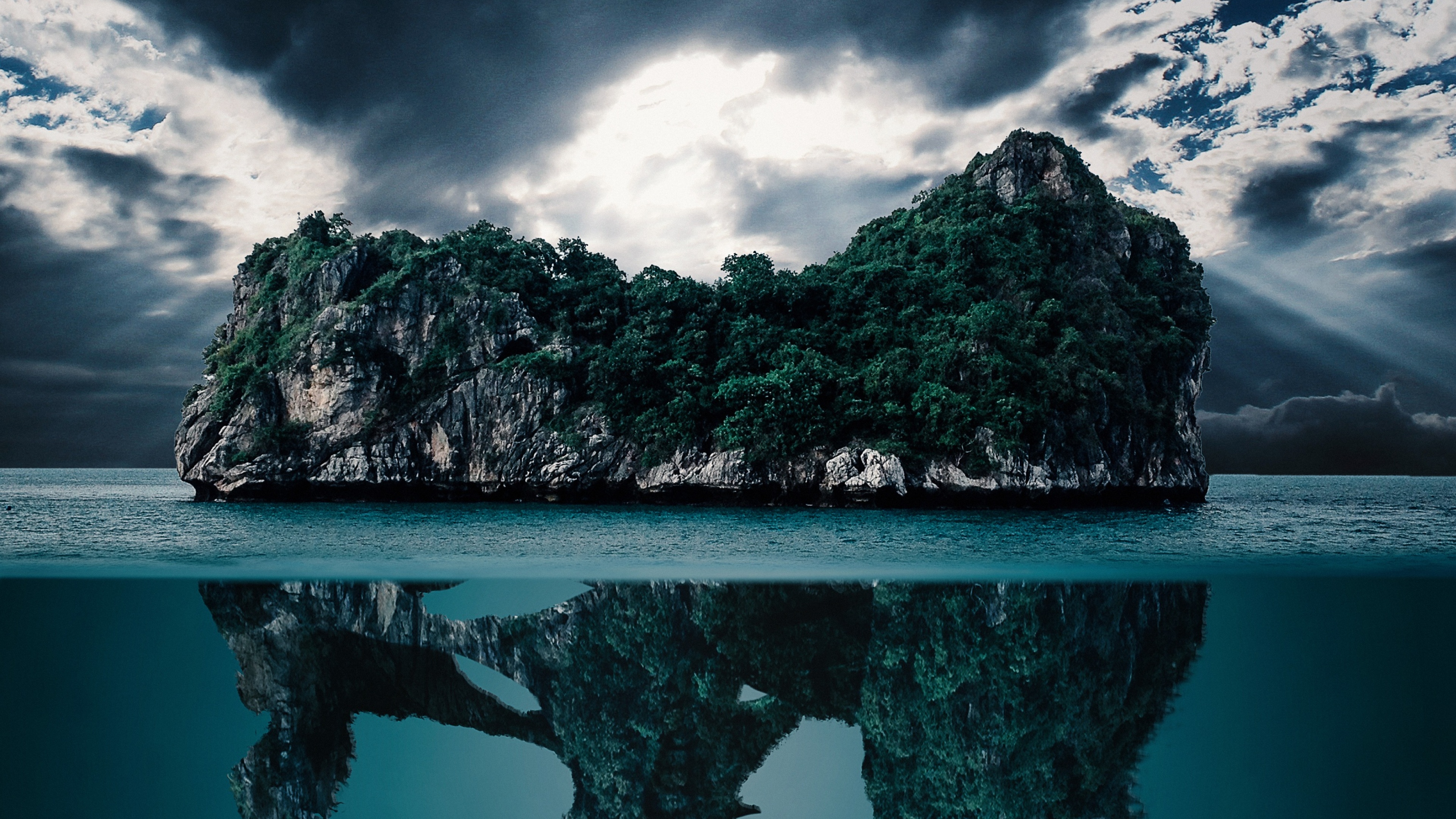 Dinosaur Skull Wallpaper