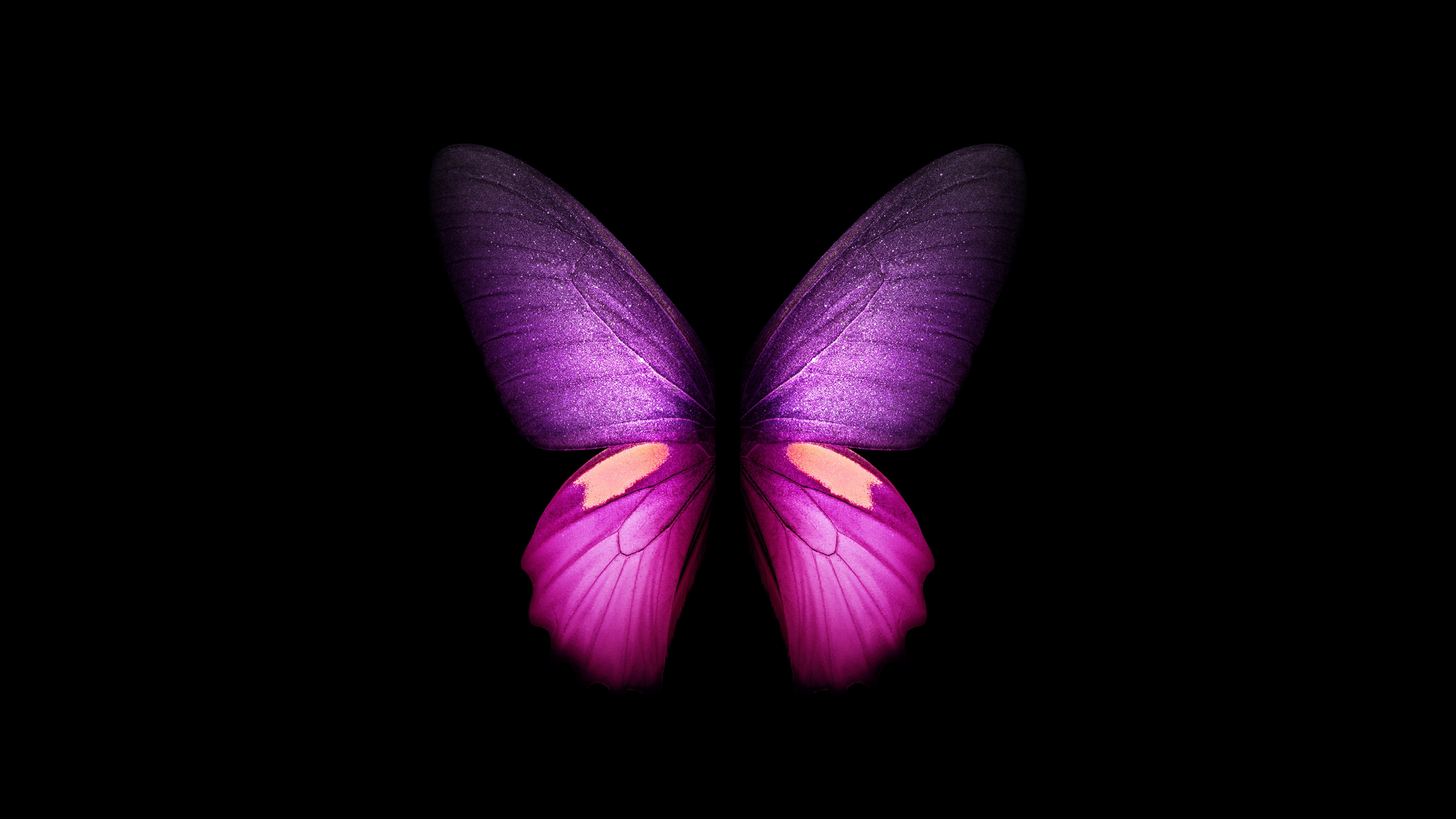 Purple Butterfly Wallpaper