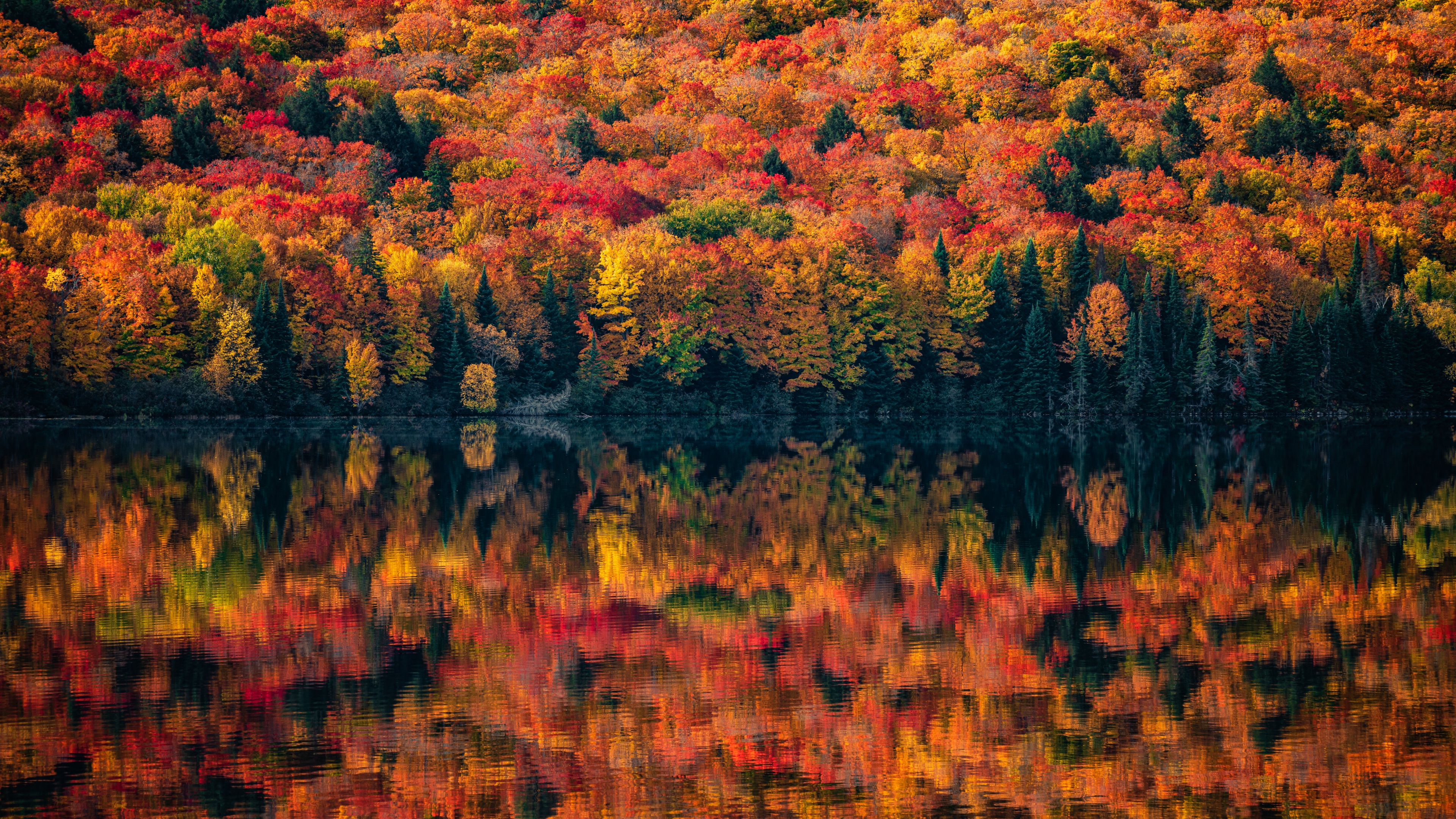 Algonquin Provincial Park Wallpaper