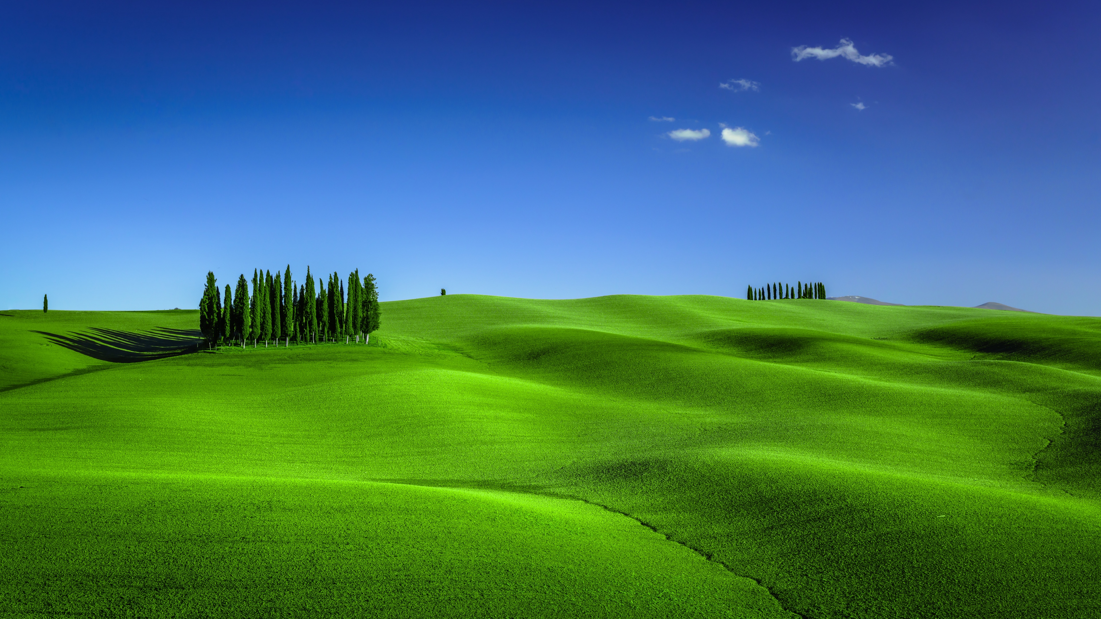 Green Meadow Wallpaper