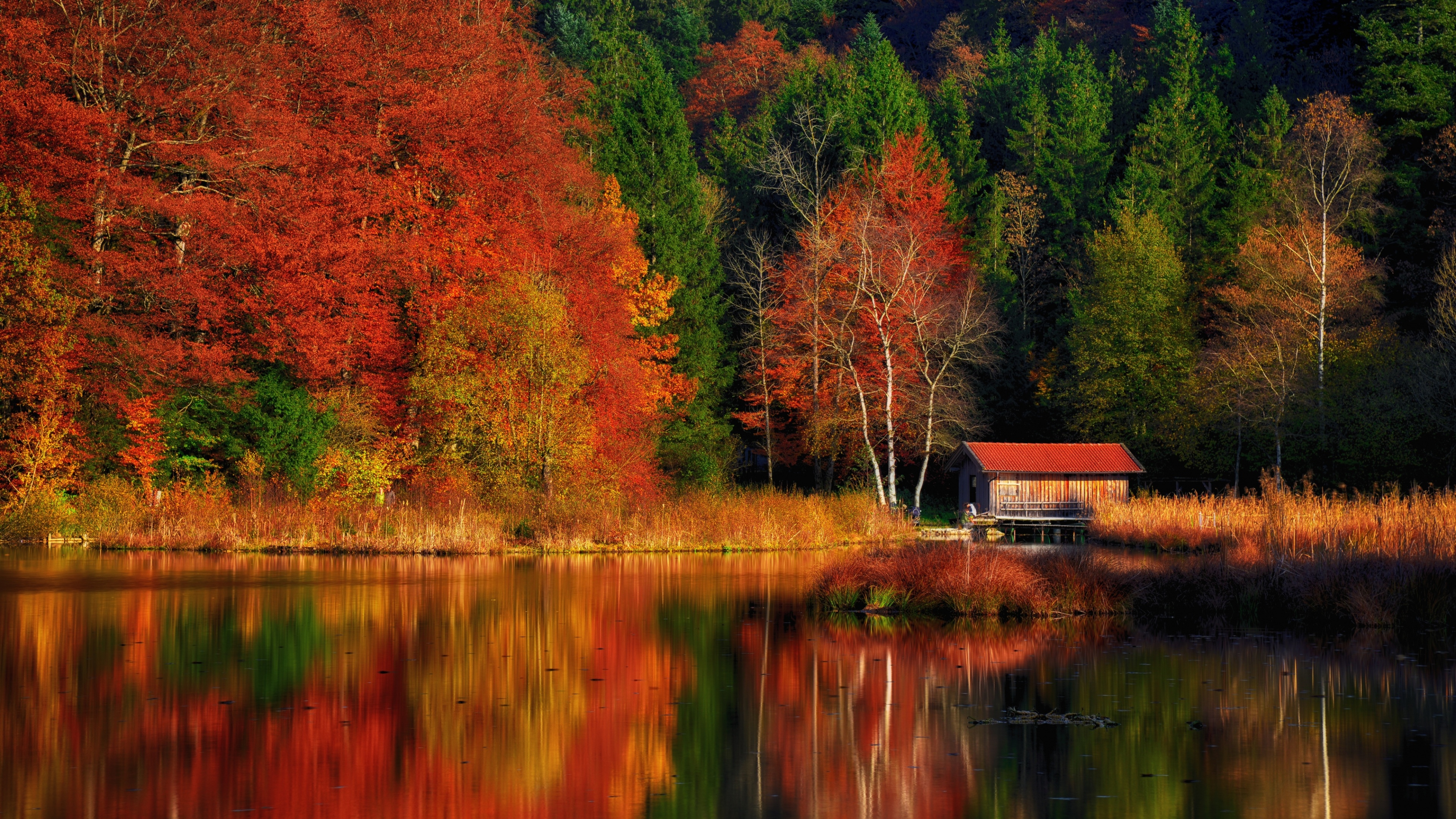Autumn Scenery Wallpaper