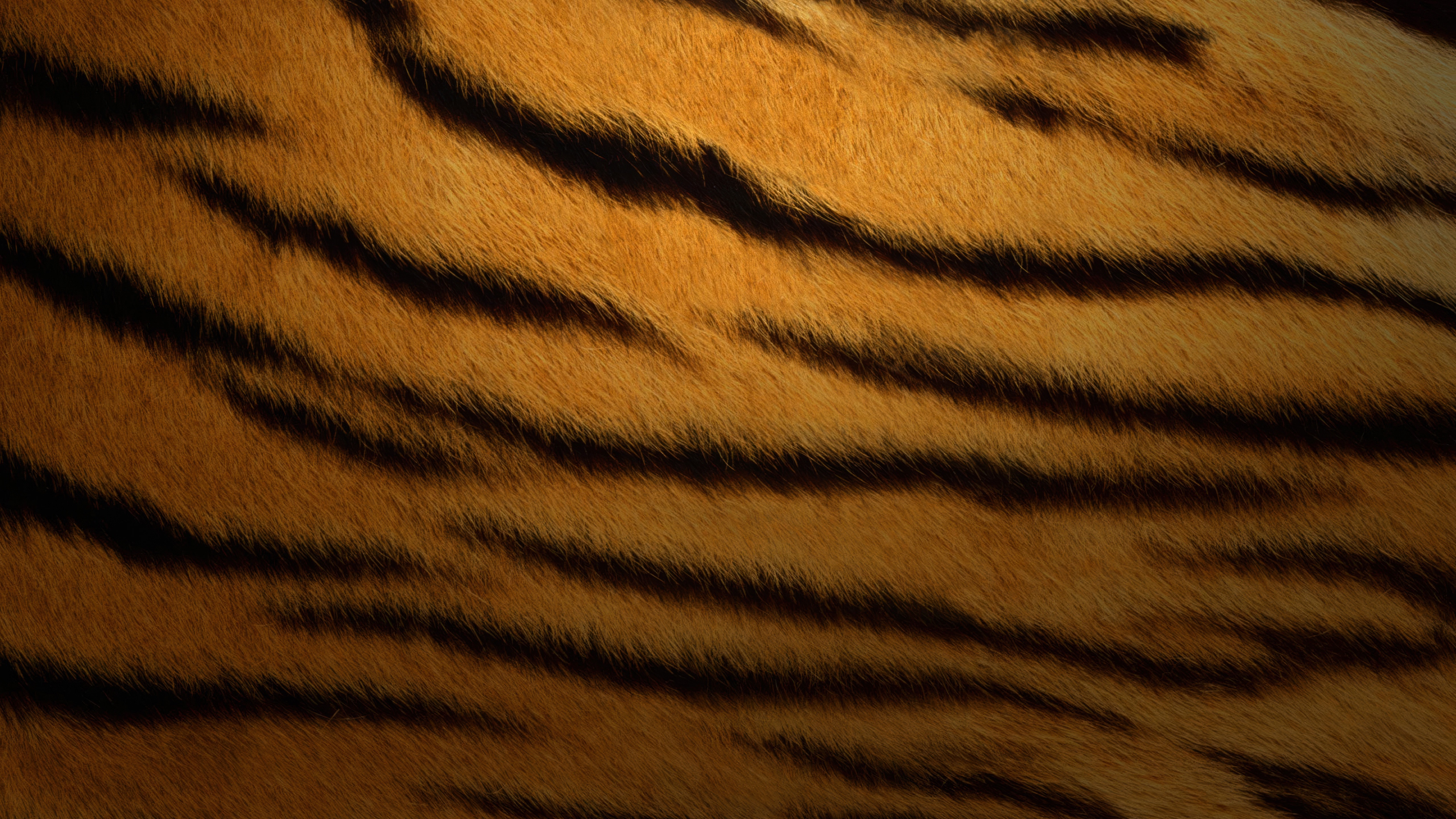 Tiger skin Wallpaper