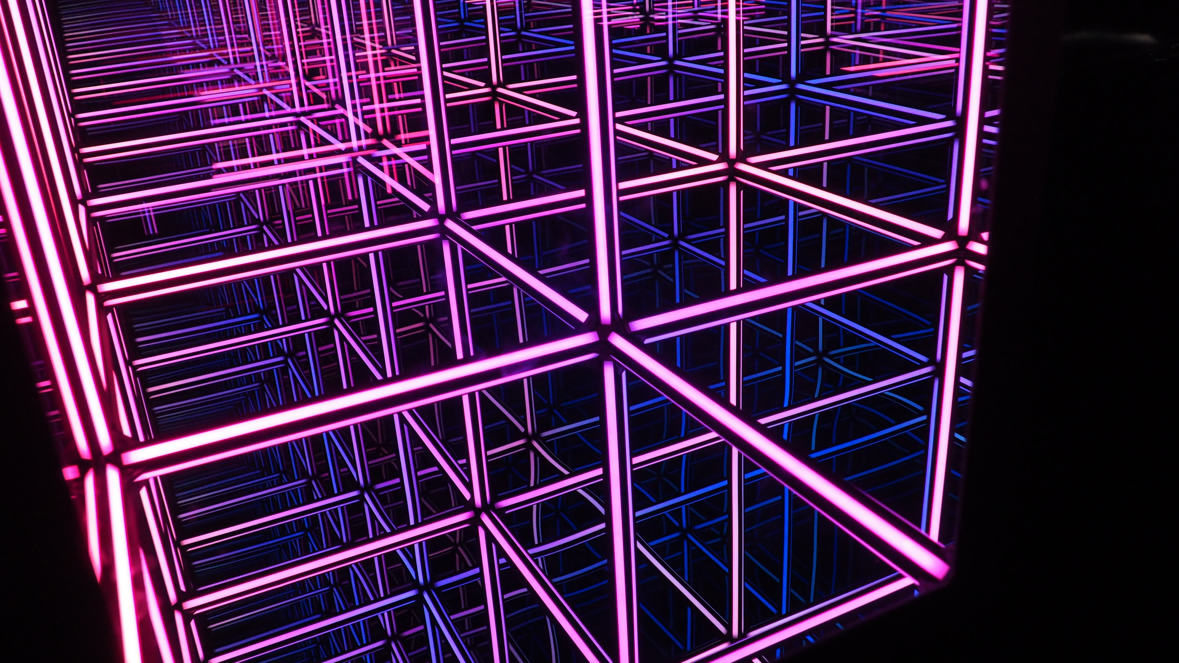 Purple Lines Wallpaper