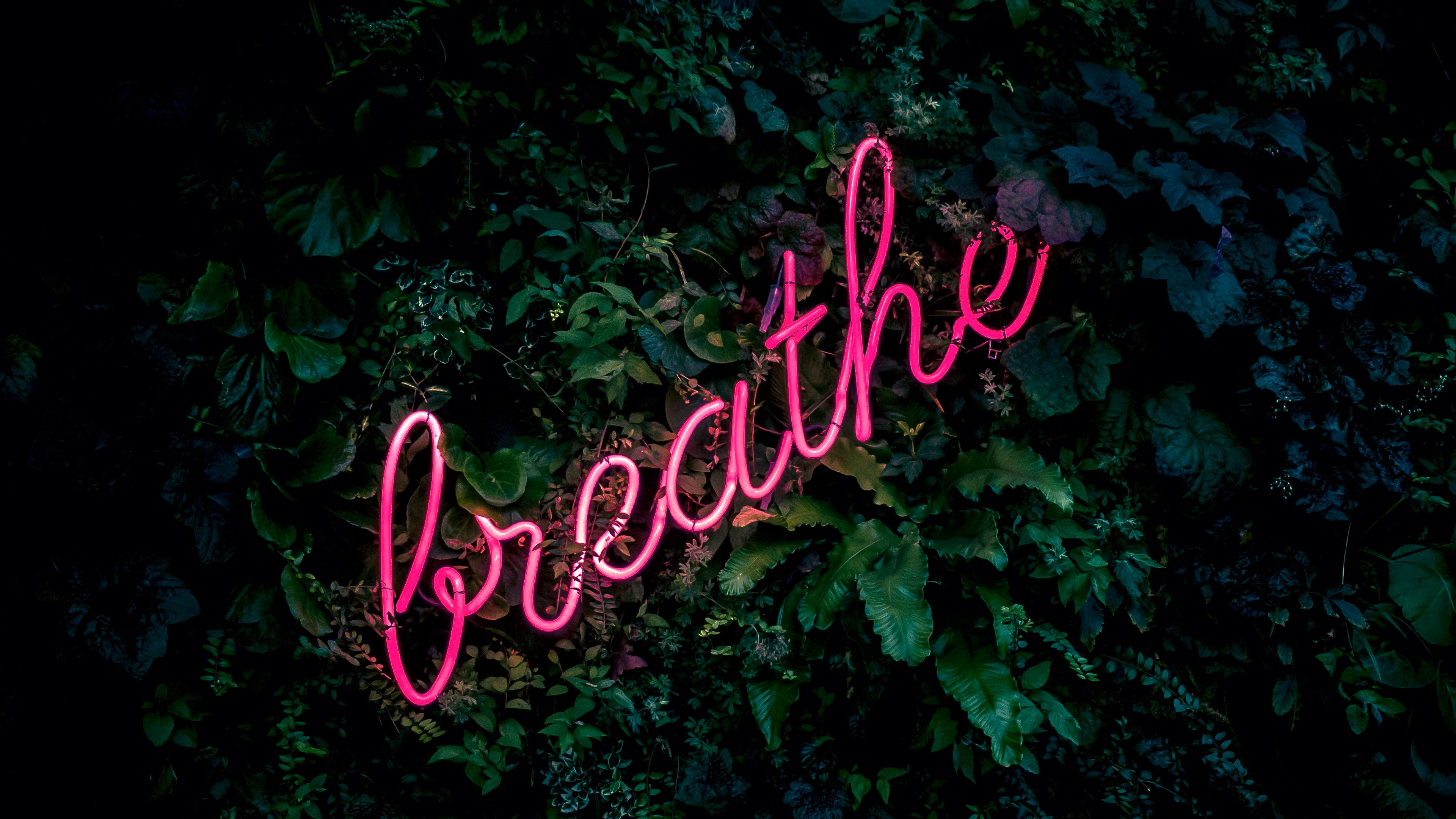 Breathe Wallpaper