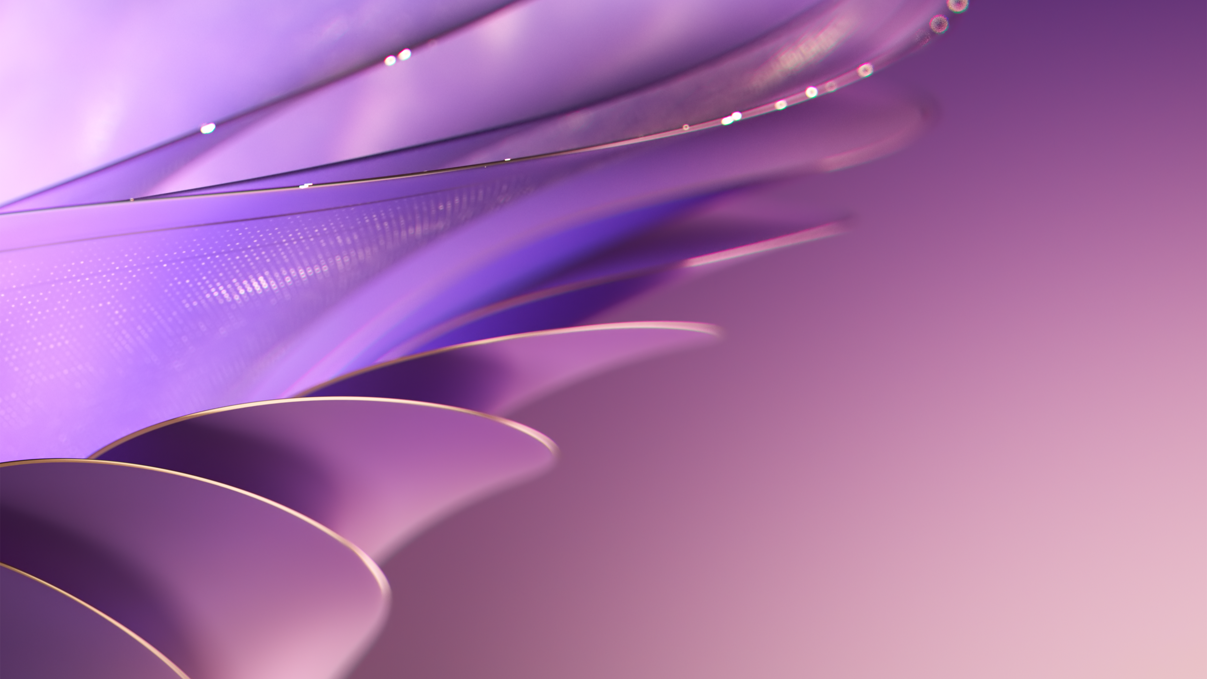 Purple gradient Wallpaper