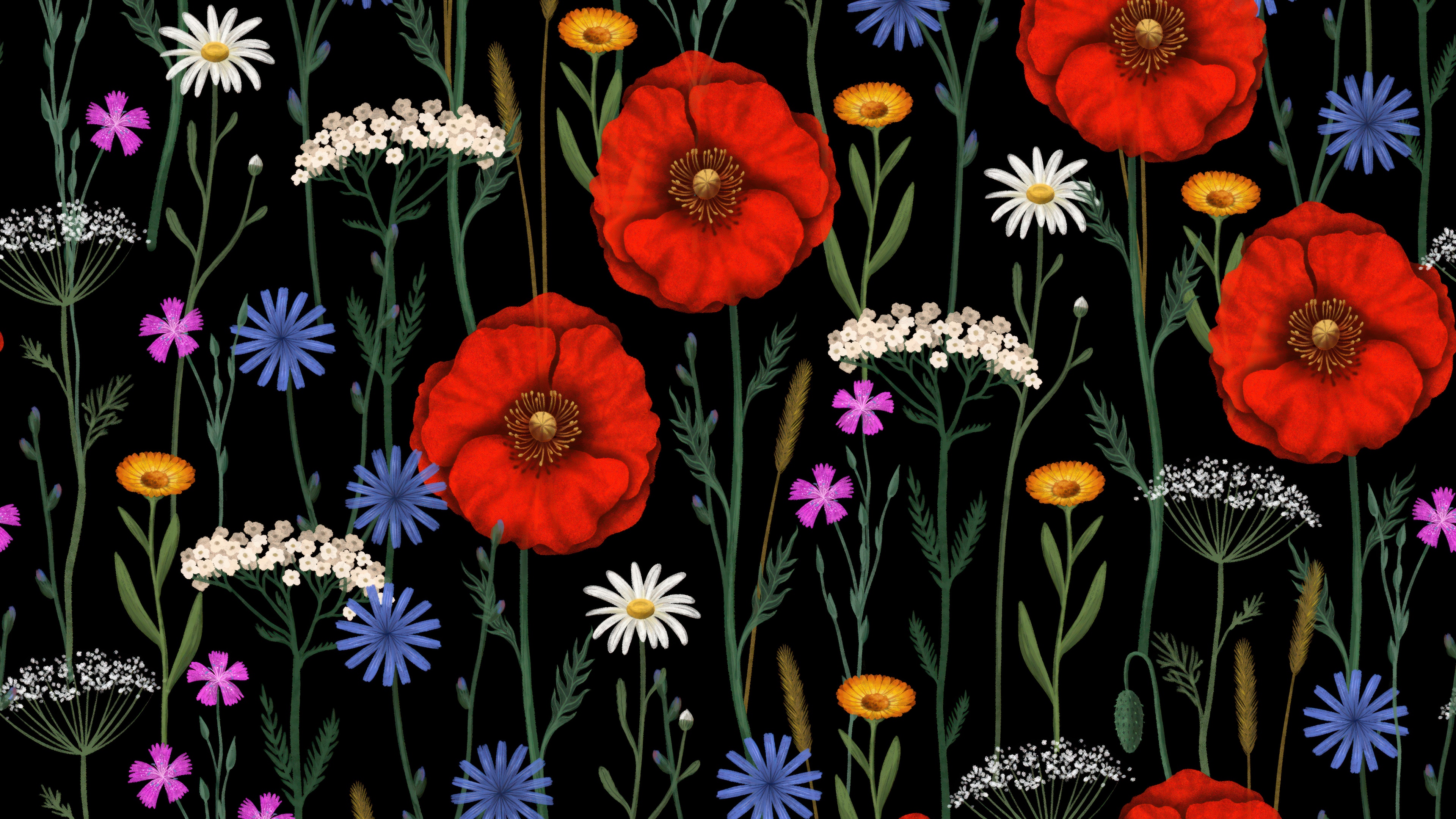 Poppies Wallpaper