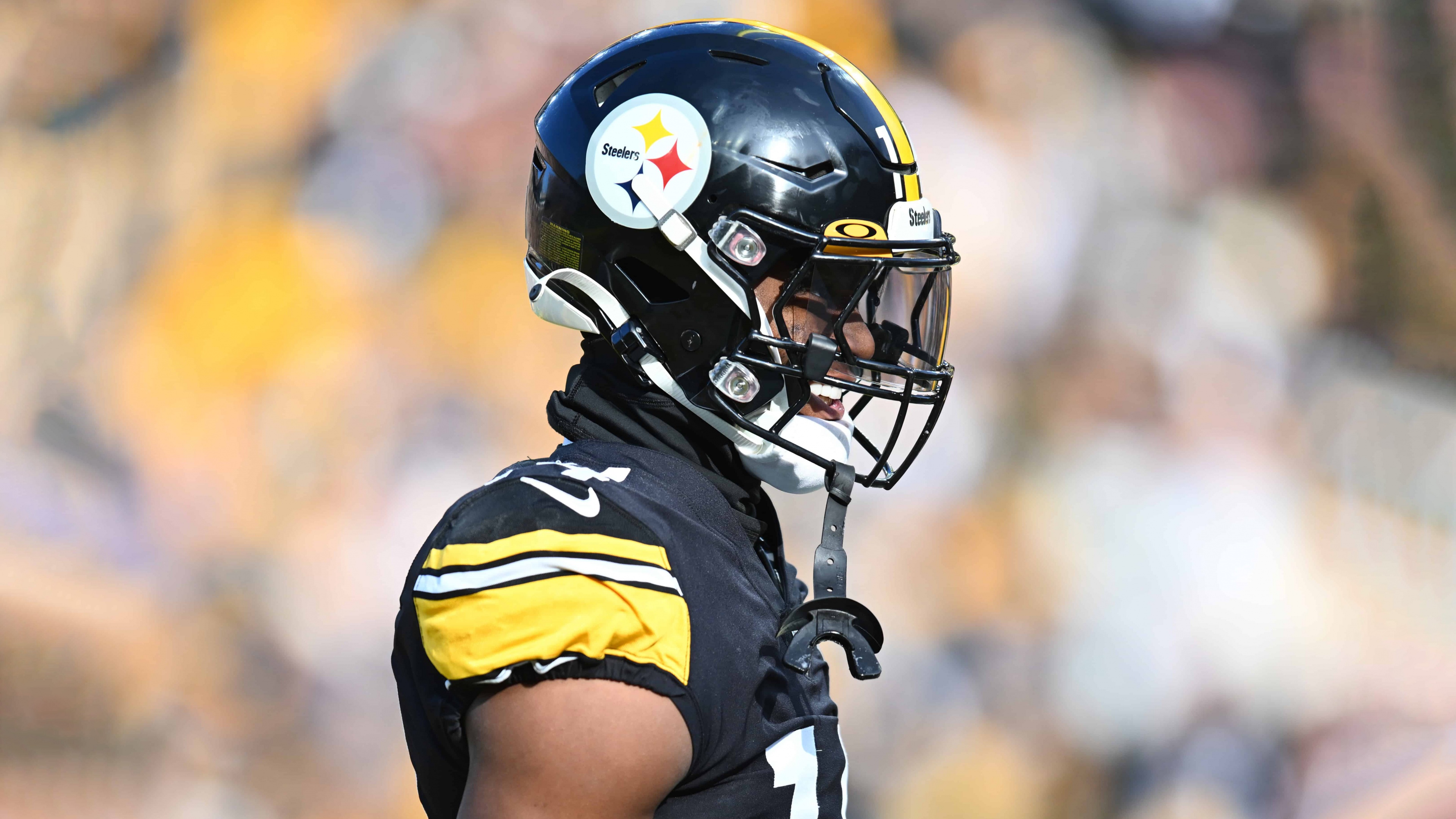 George Pickens Wallpaper