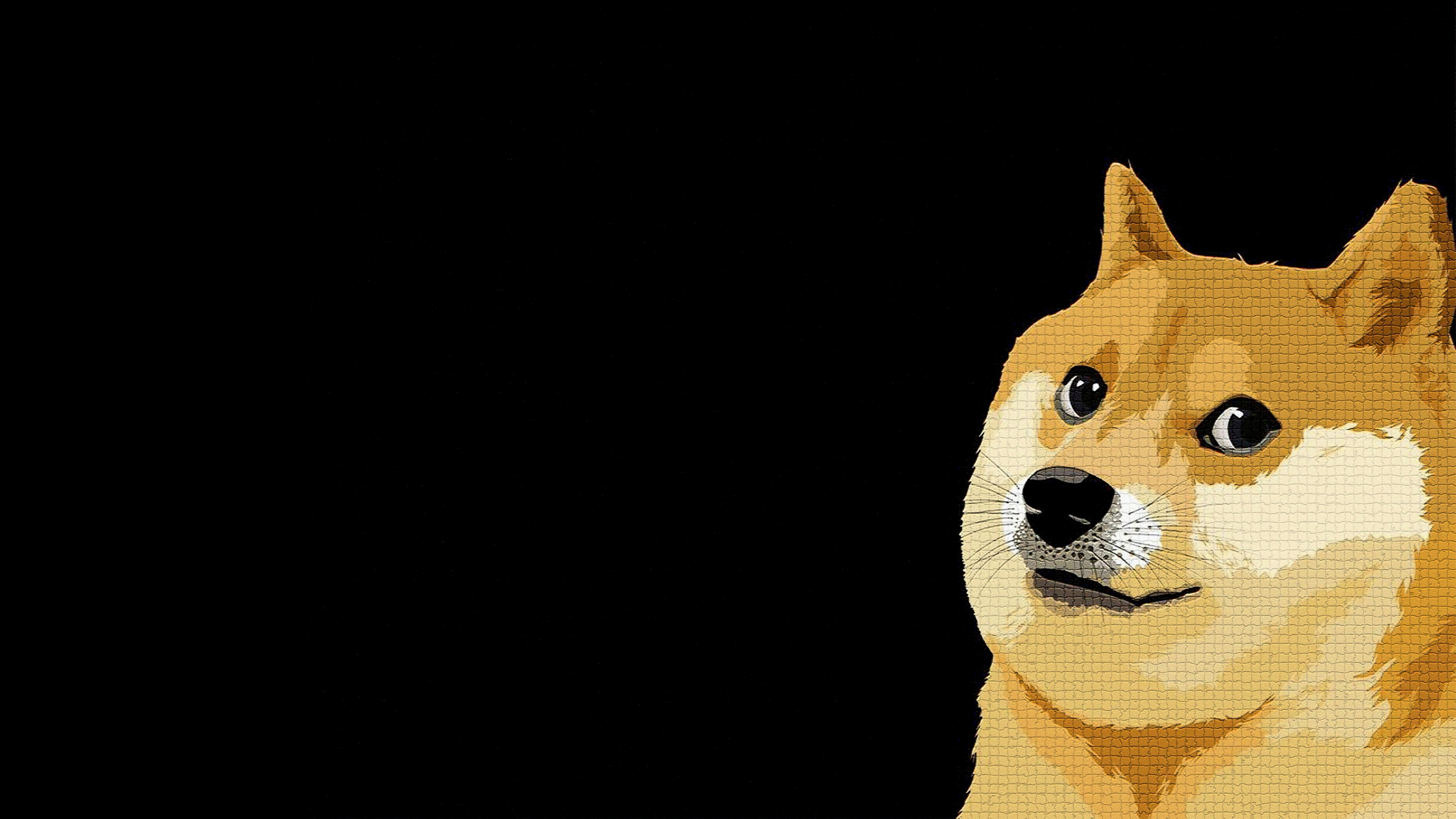 Shiba Inu Wallpaper