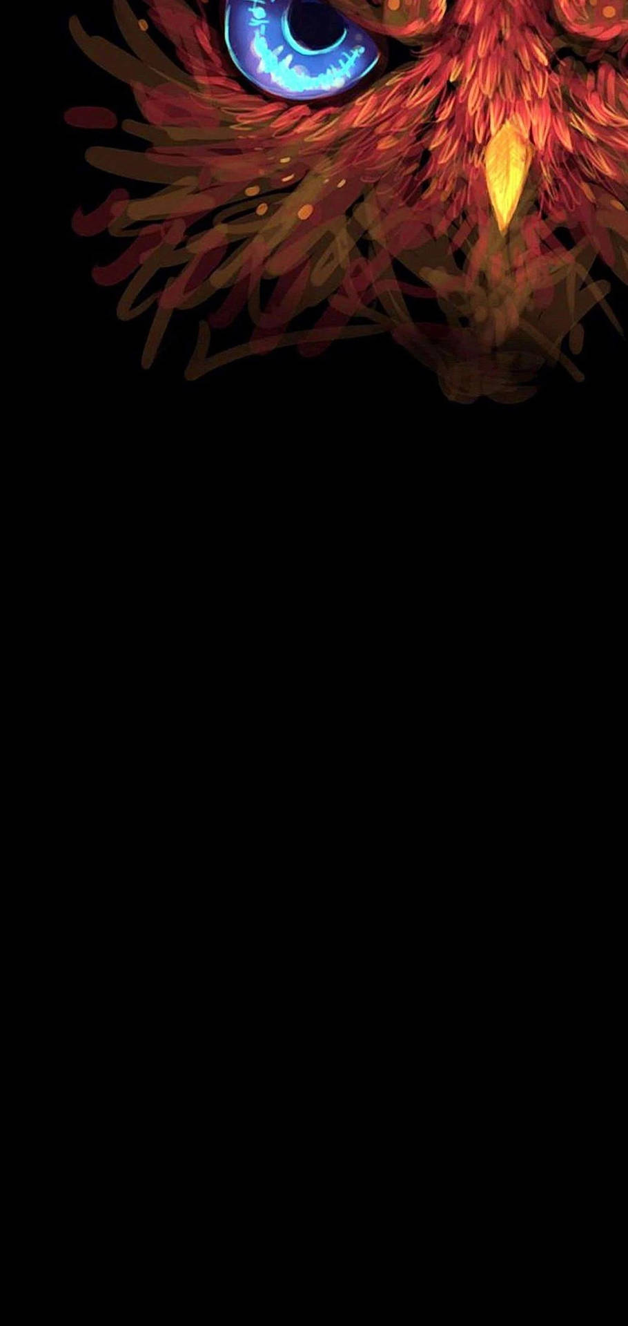 Animal Collection #13