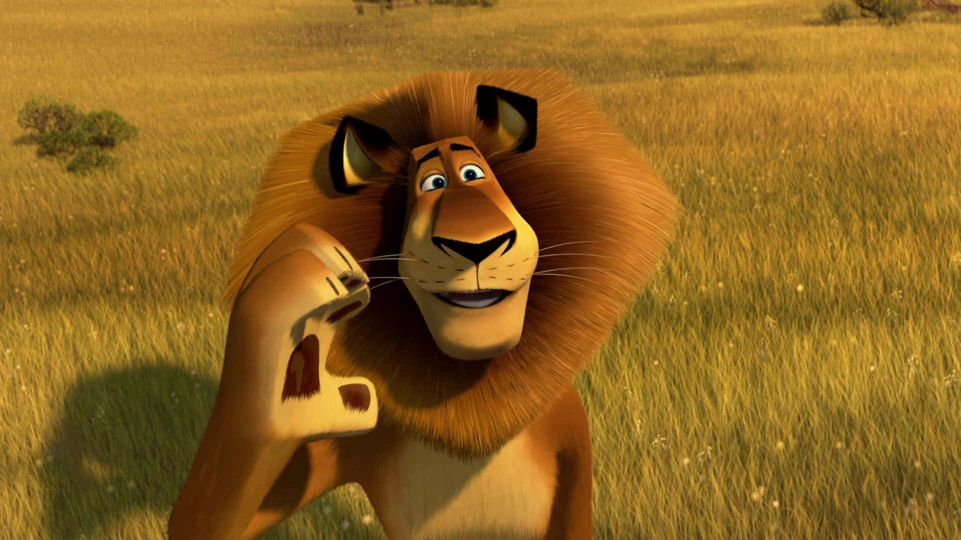 Animated Fun - Main Characters From Madagascar 3: Europe&#039;s Most Wanted