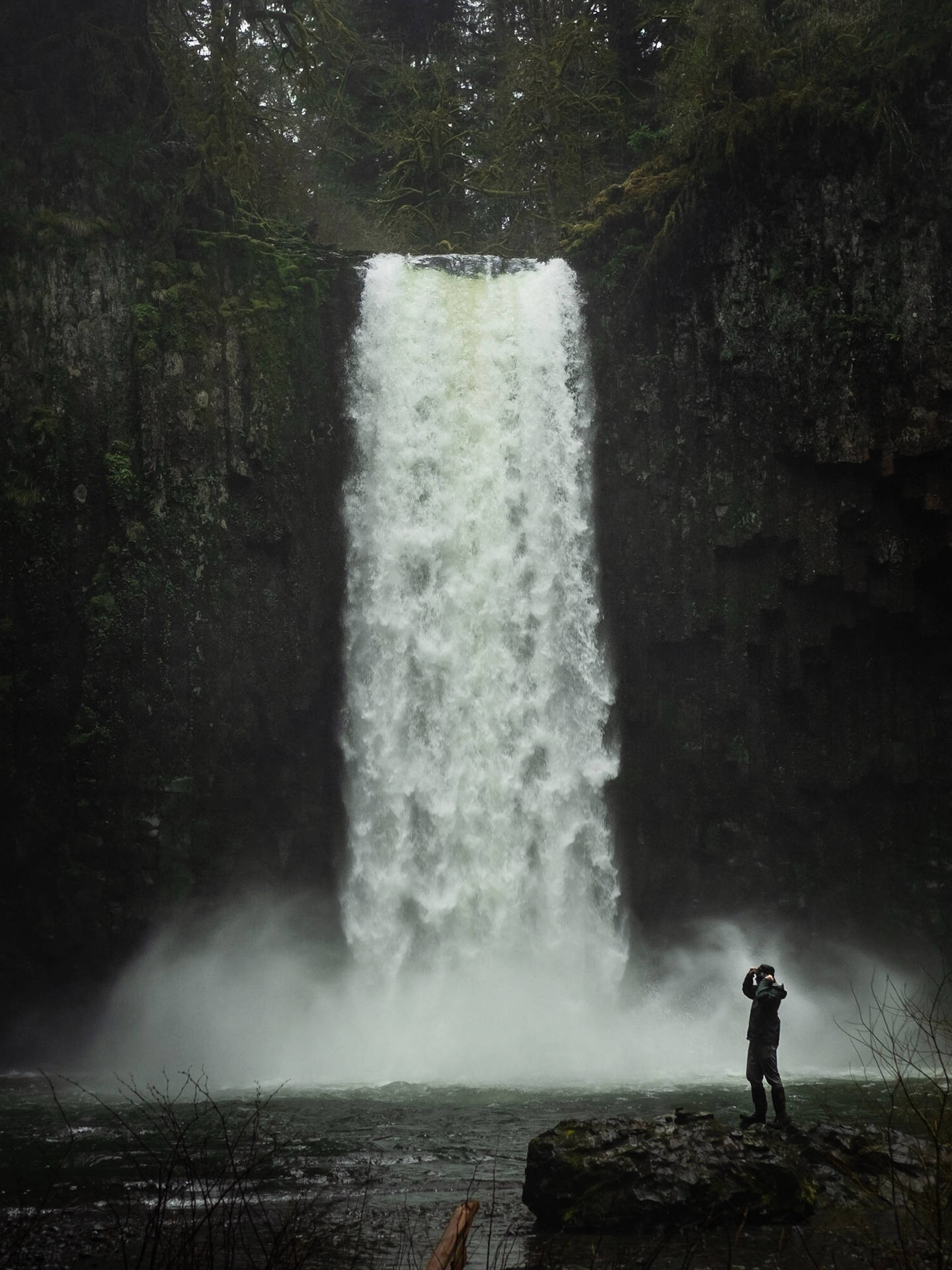 Artistic Beautiful Waterfall Abiqua Oregon Wall Art