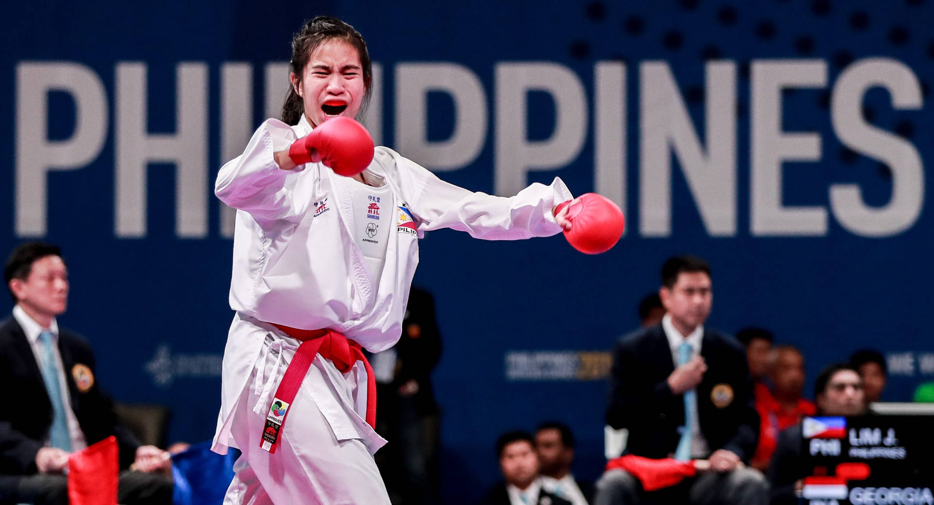 Captivating Karate Philippines Jamie Lim Desktop Background