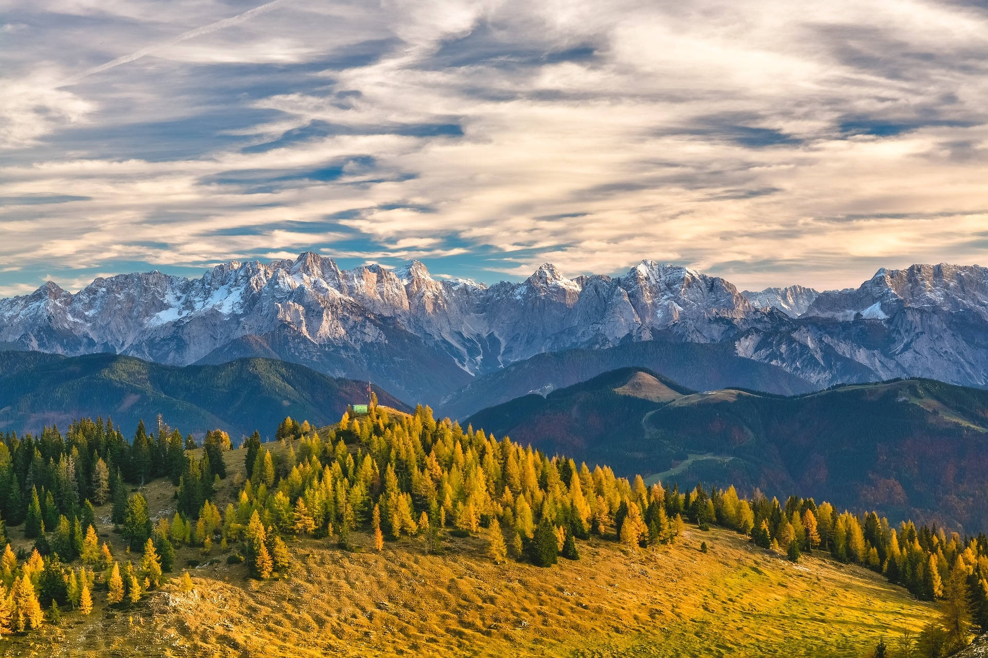 Captivating Light Mountain Woods Screen Background