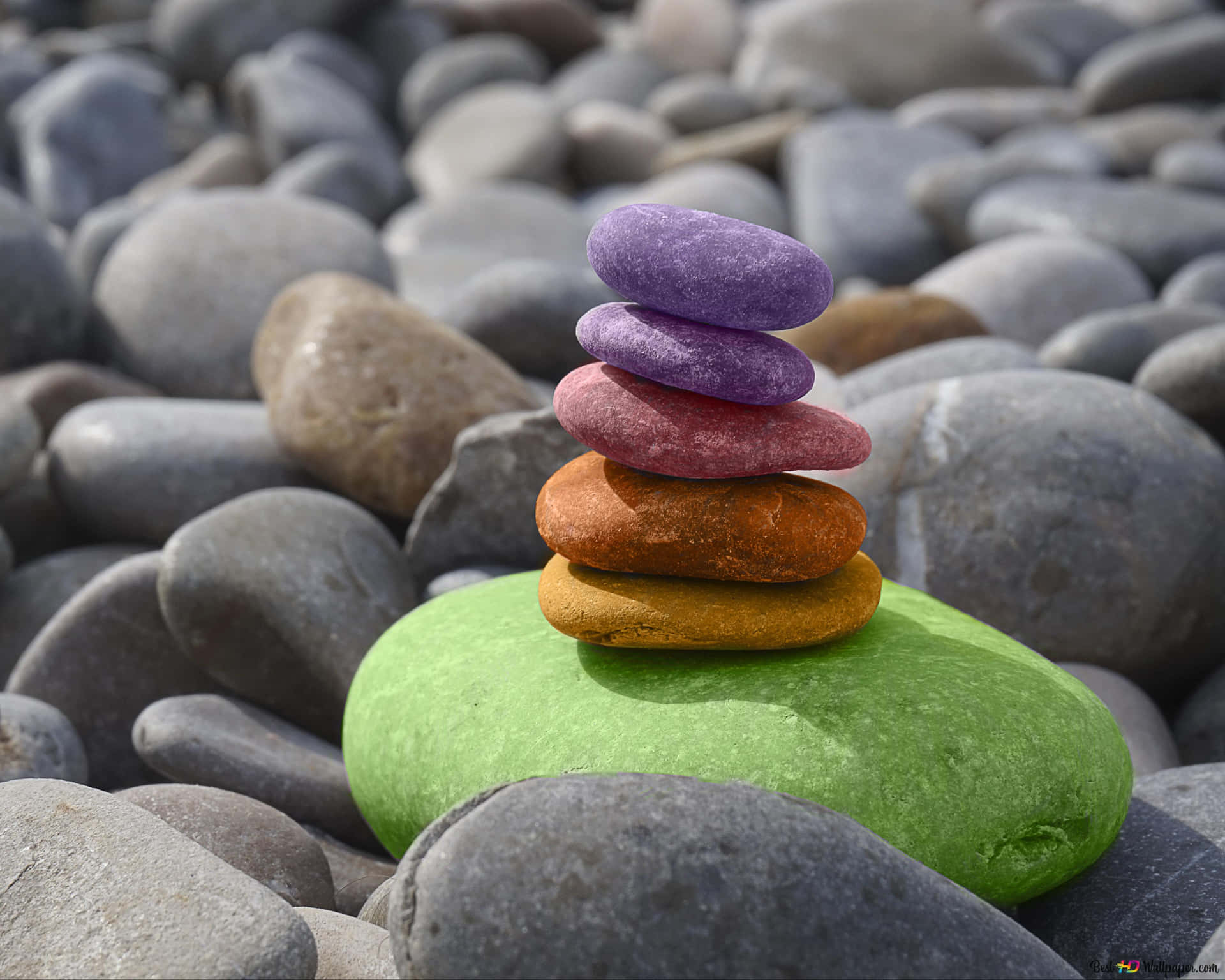 Colorful Gallery #11