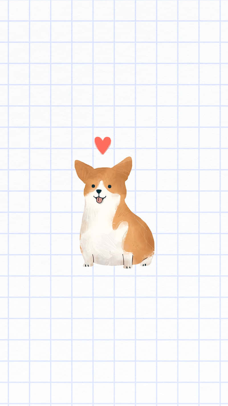 Cute Corgi On Grid Background