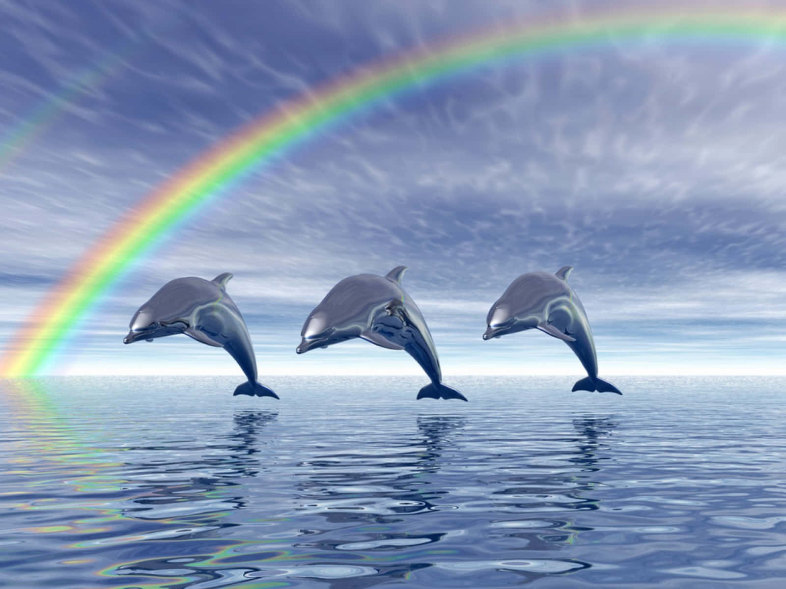 Cute Dolphin Rainbow Visual Art