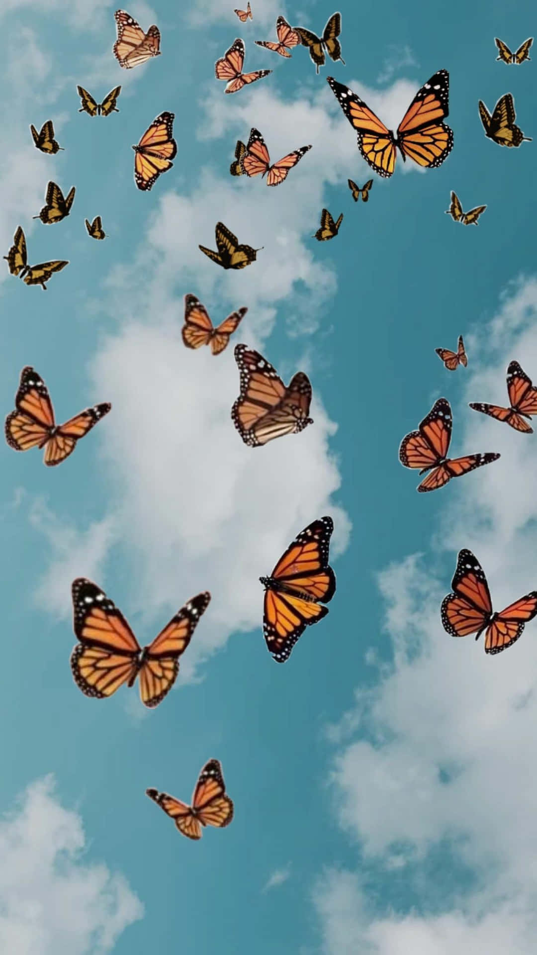 Dynamic Monarch Butterflies Kaleidoscope In the Sky Screen Background