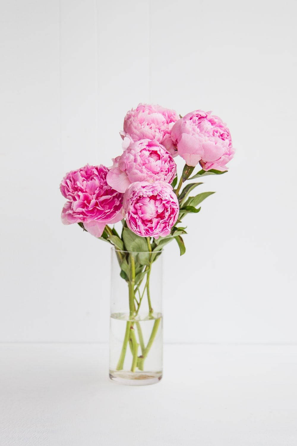 Elegant Peony Flowers In Glass Vase Background
