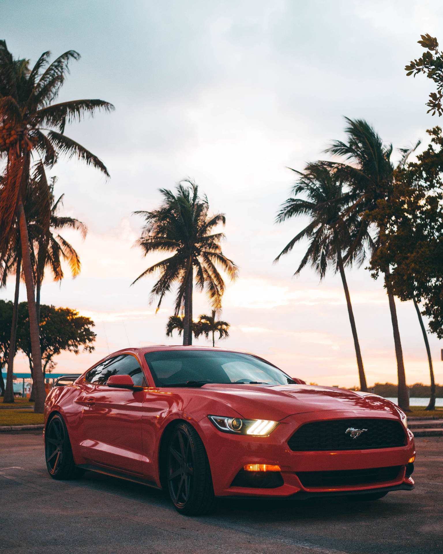 Epic Mustang Background