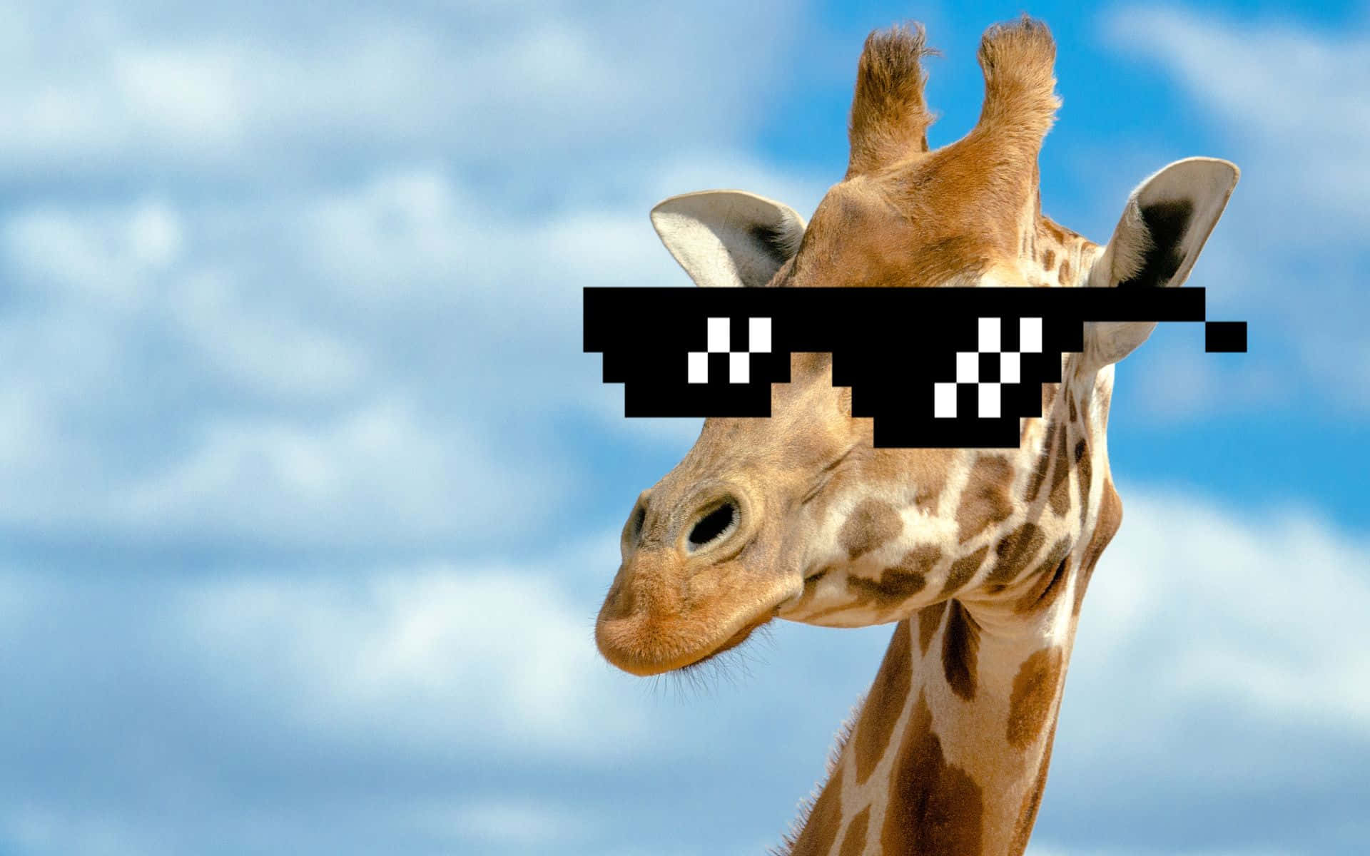 Funny Giraffe Wearing 8 Bit Sunglasses