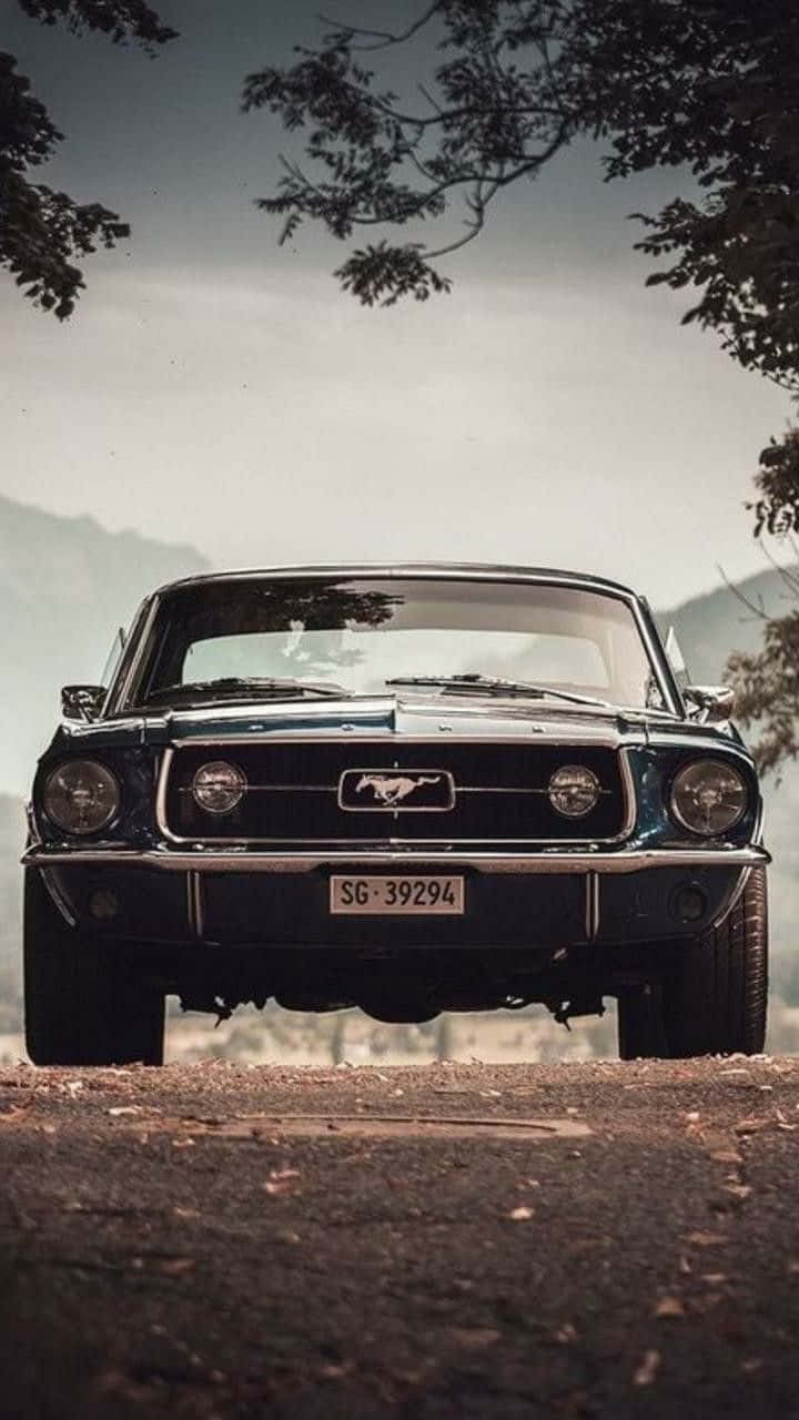 HD Mustang Wallpaper