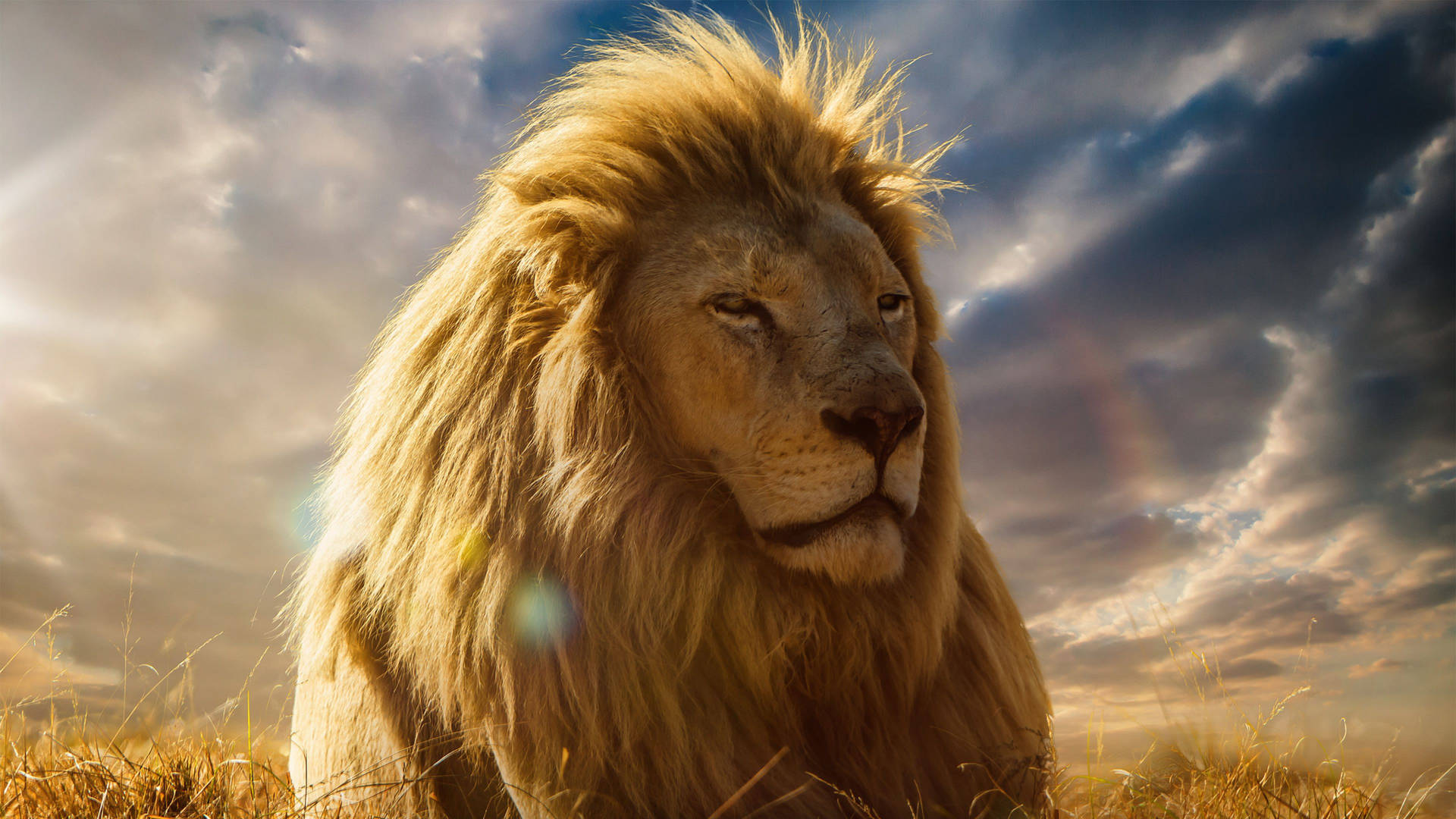 High-Quality Lion Digital Art