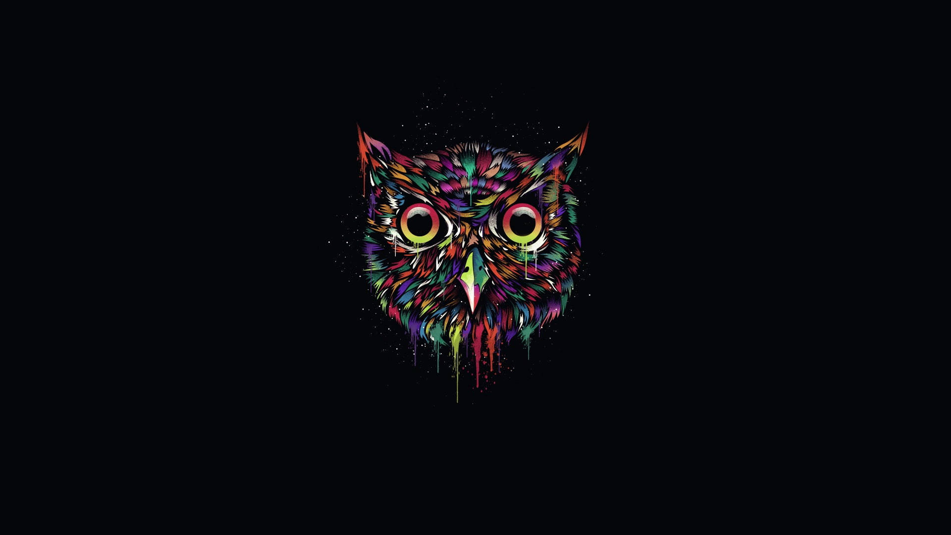 High-Quality Owl HD Wallpaper