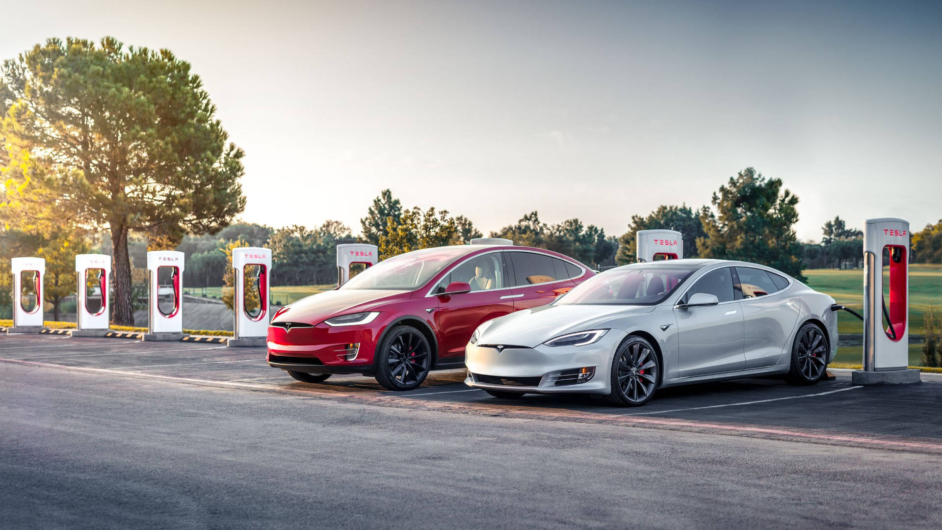 High-Quality Tesla Models X and 3 - Emblems of Sustainability and Innovation Wall Art