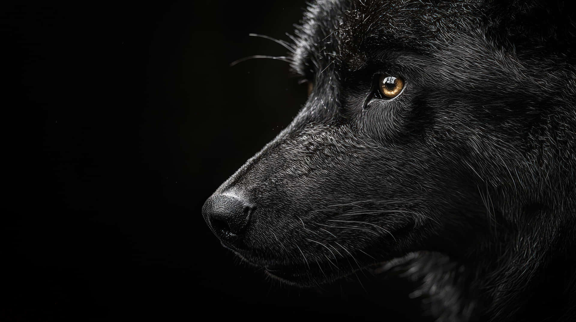 Magnificent Close-up Of A Black Wolf&#039;s Face With Intense Golden Eyes Background