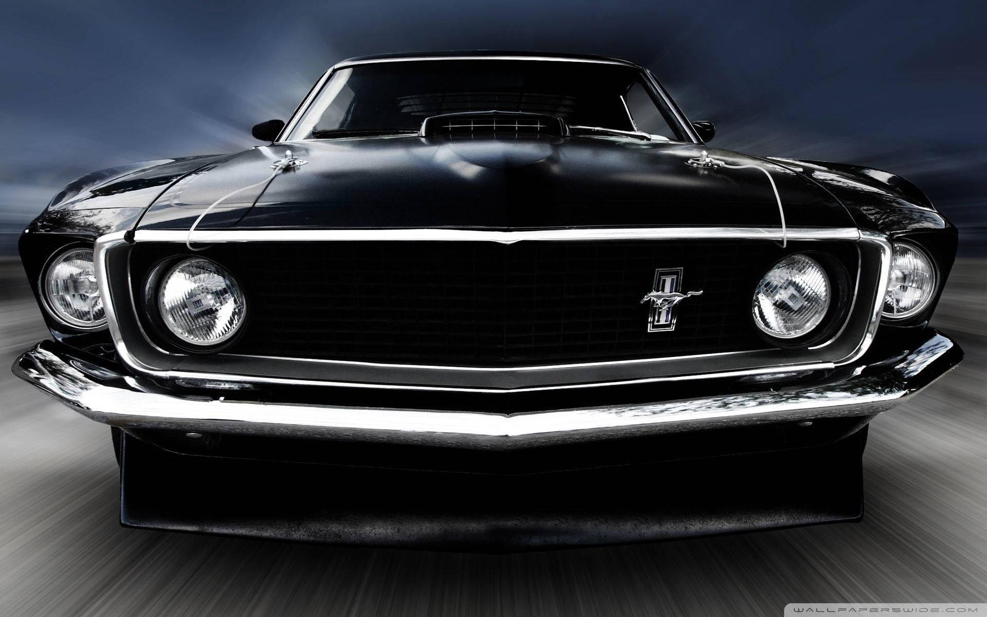 Mustang Gallery #10