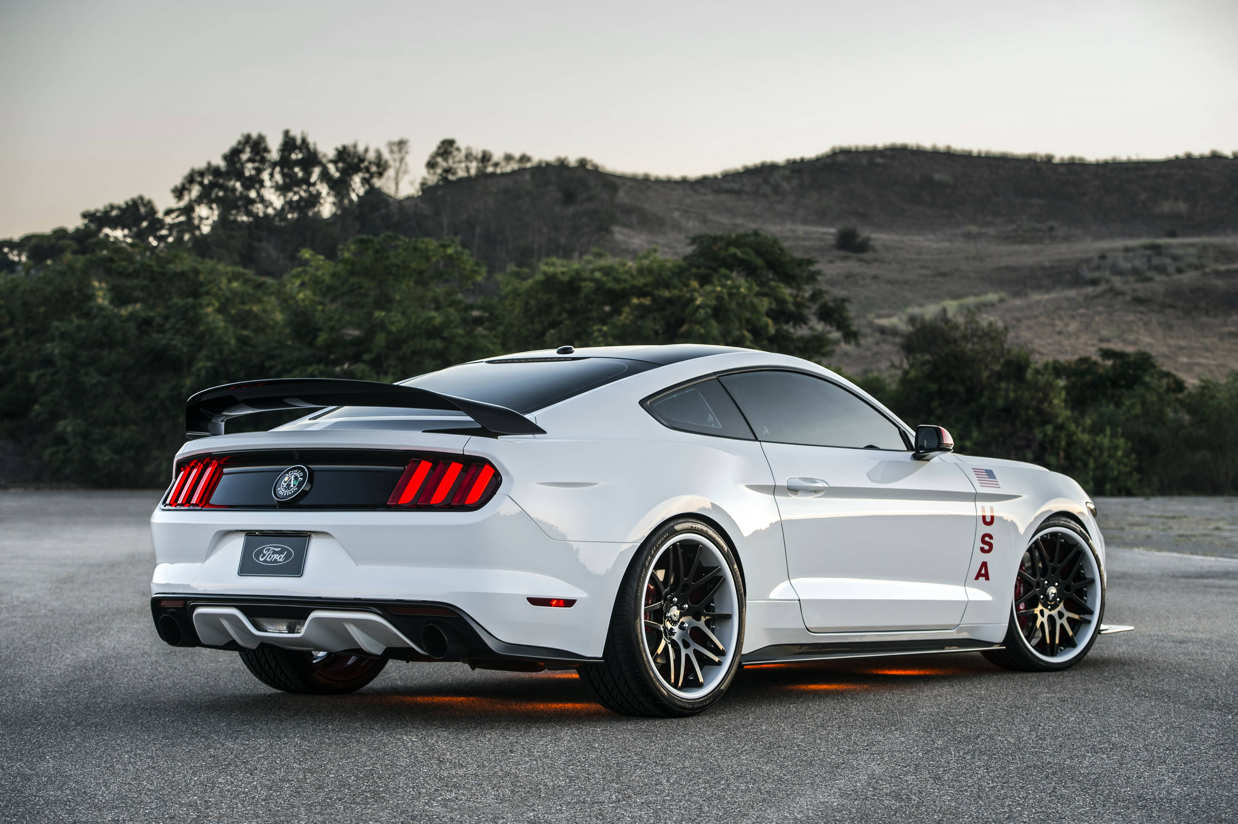 Mustang Gallery #6