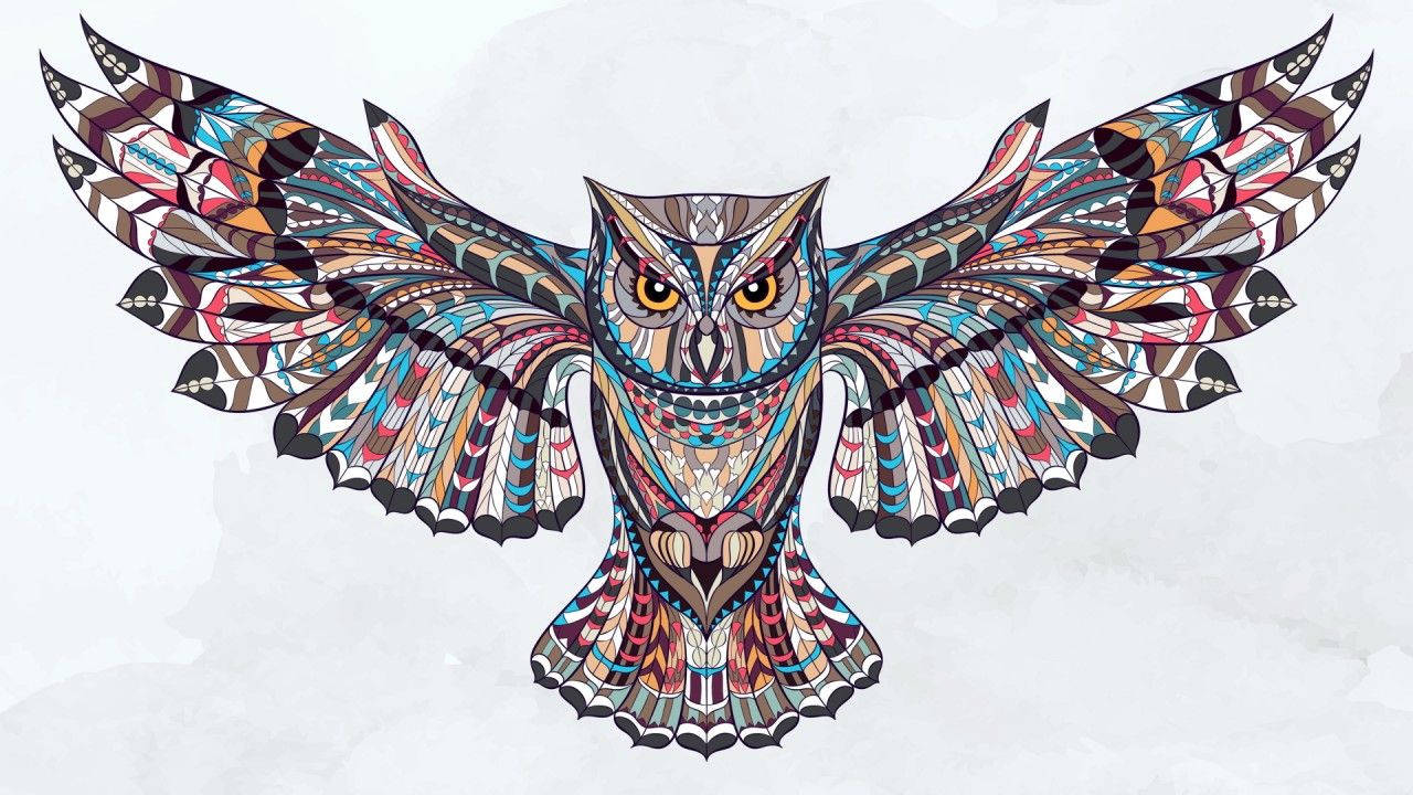 Owl Collection #33