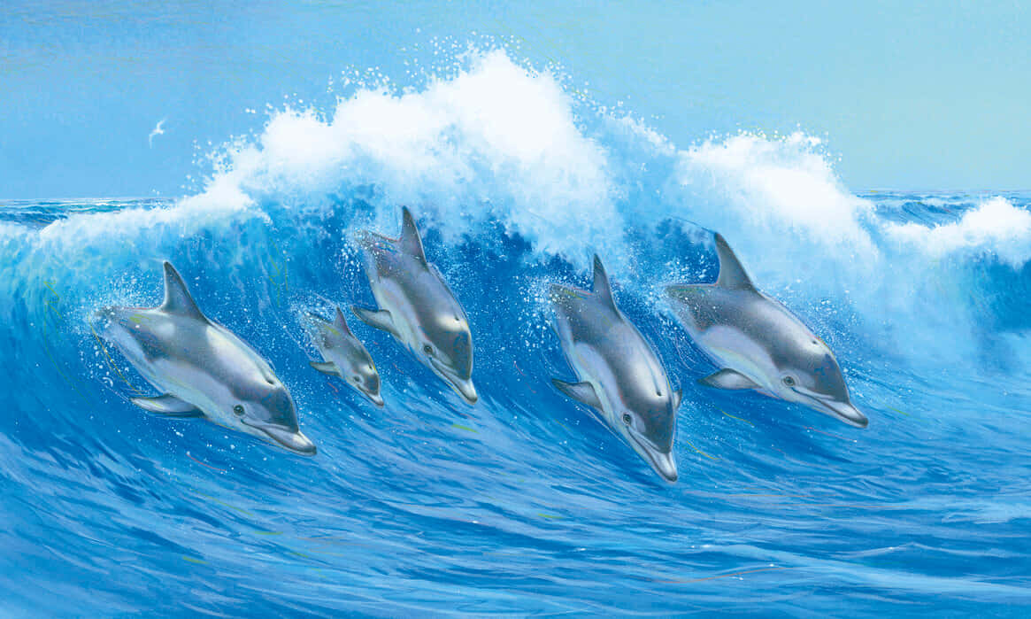 Perfect Cute Dolphins Waves Computer Generated Digital Art