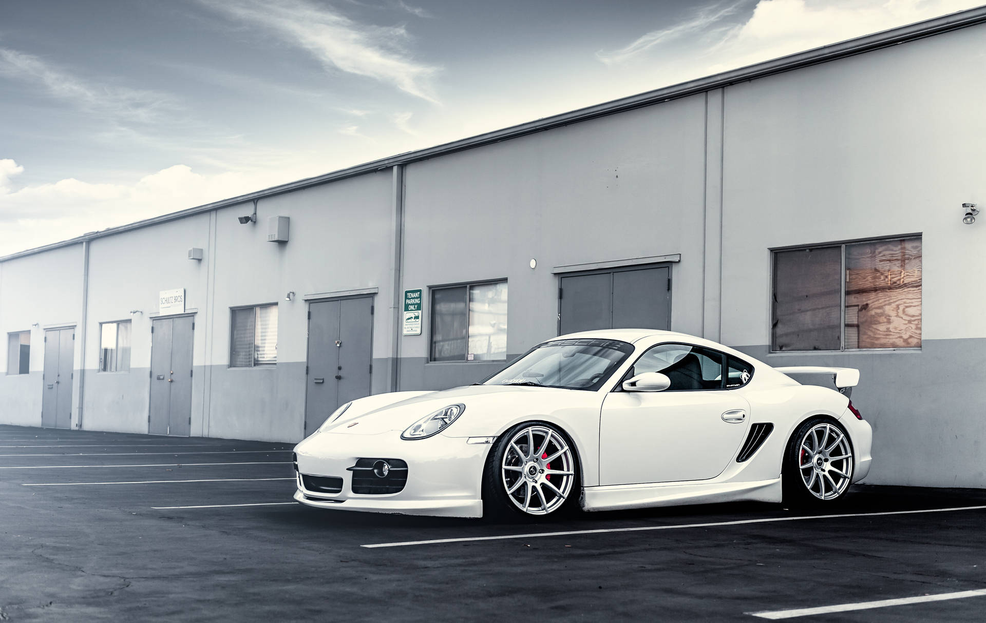 Porsche Gallery #54
