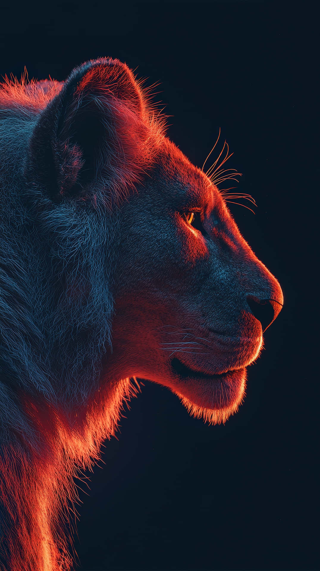 Premium Lion Series #19