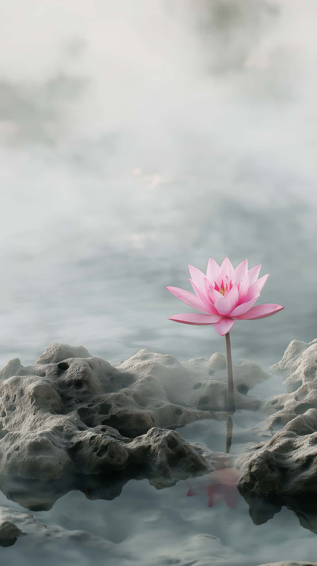 Premium Nature Series #22