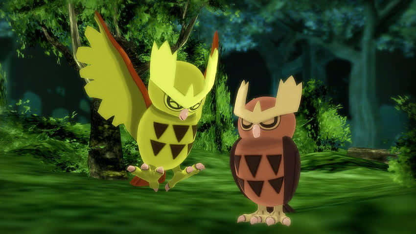 Premium Owl Series #26