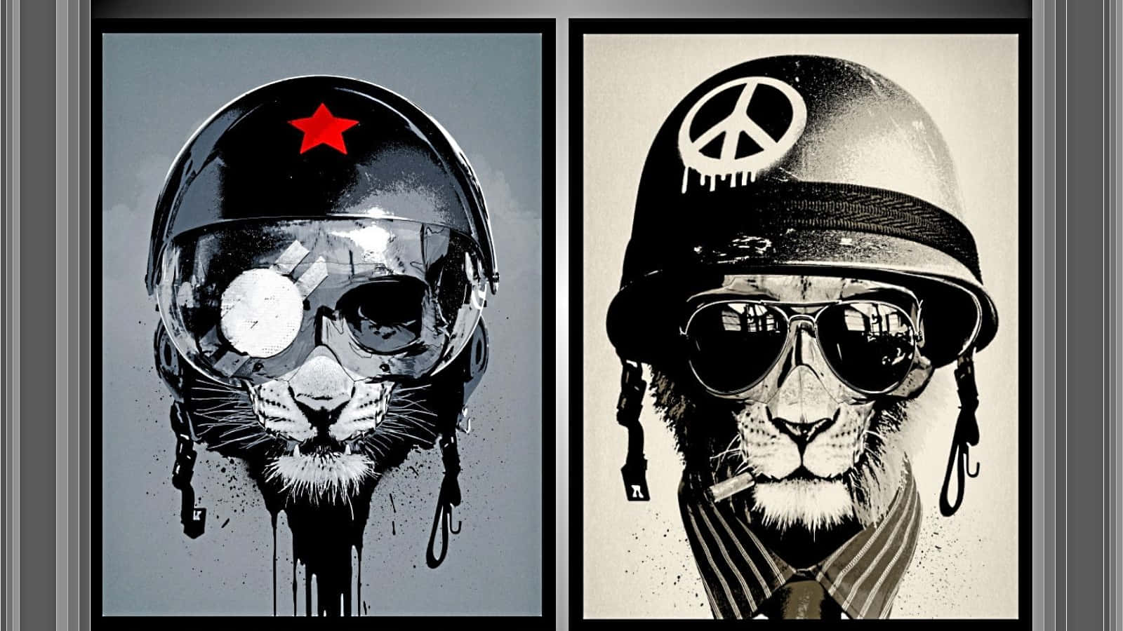 Professional Animal Background