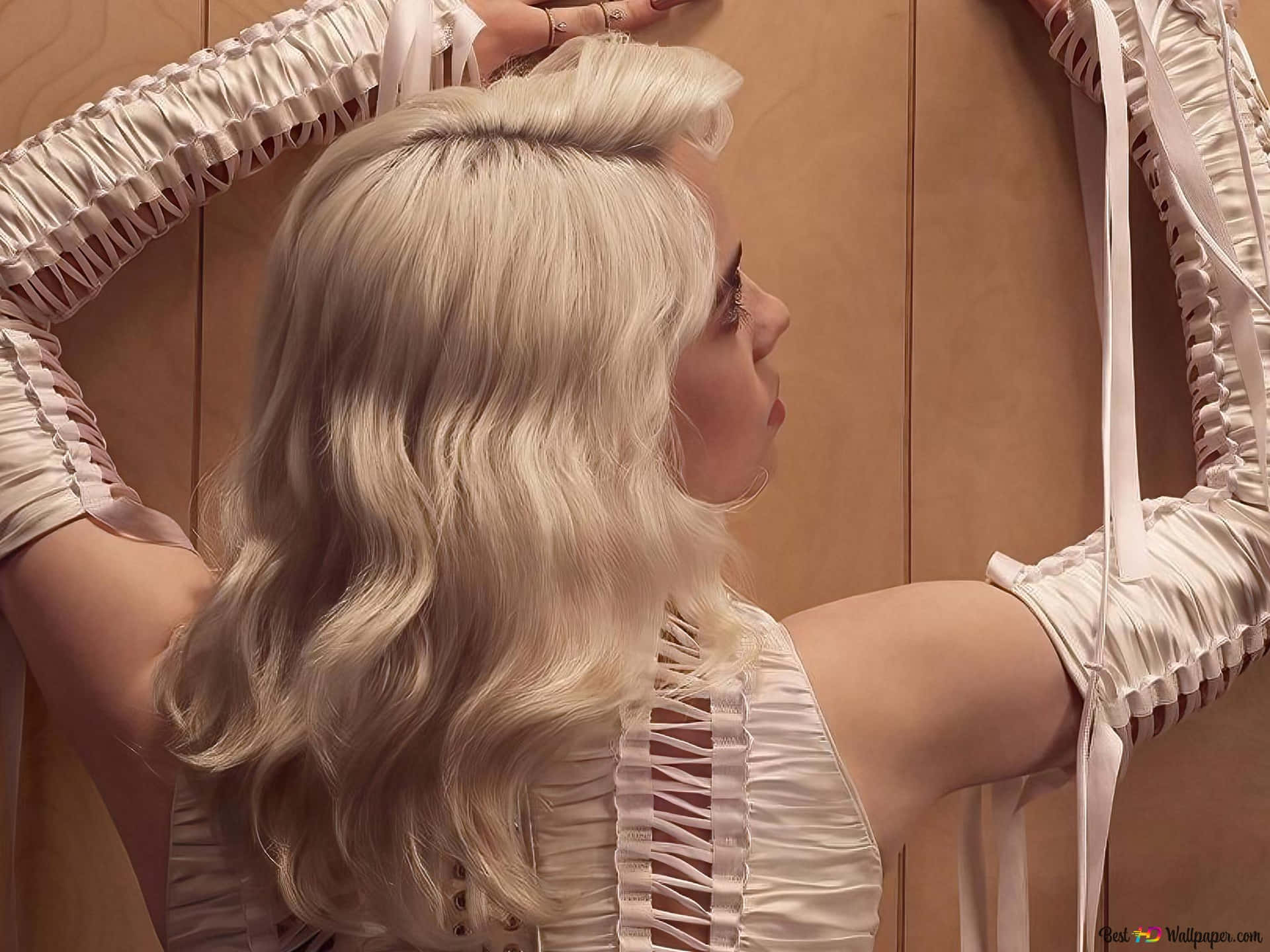 Professional Billie-eilish Background